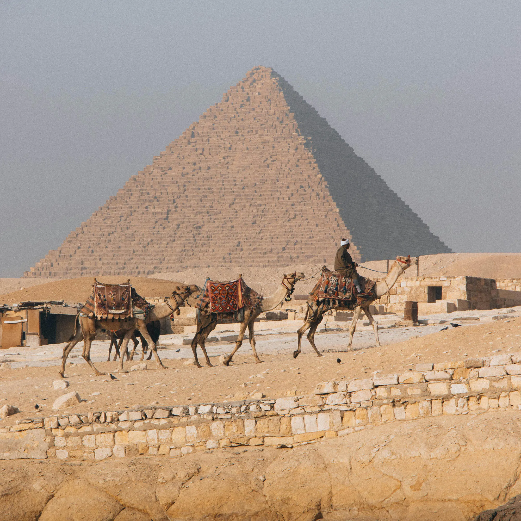Two camels and their handlers stand before the Great Pyramid of Giza under a hazy desert sky.