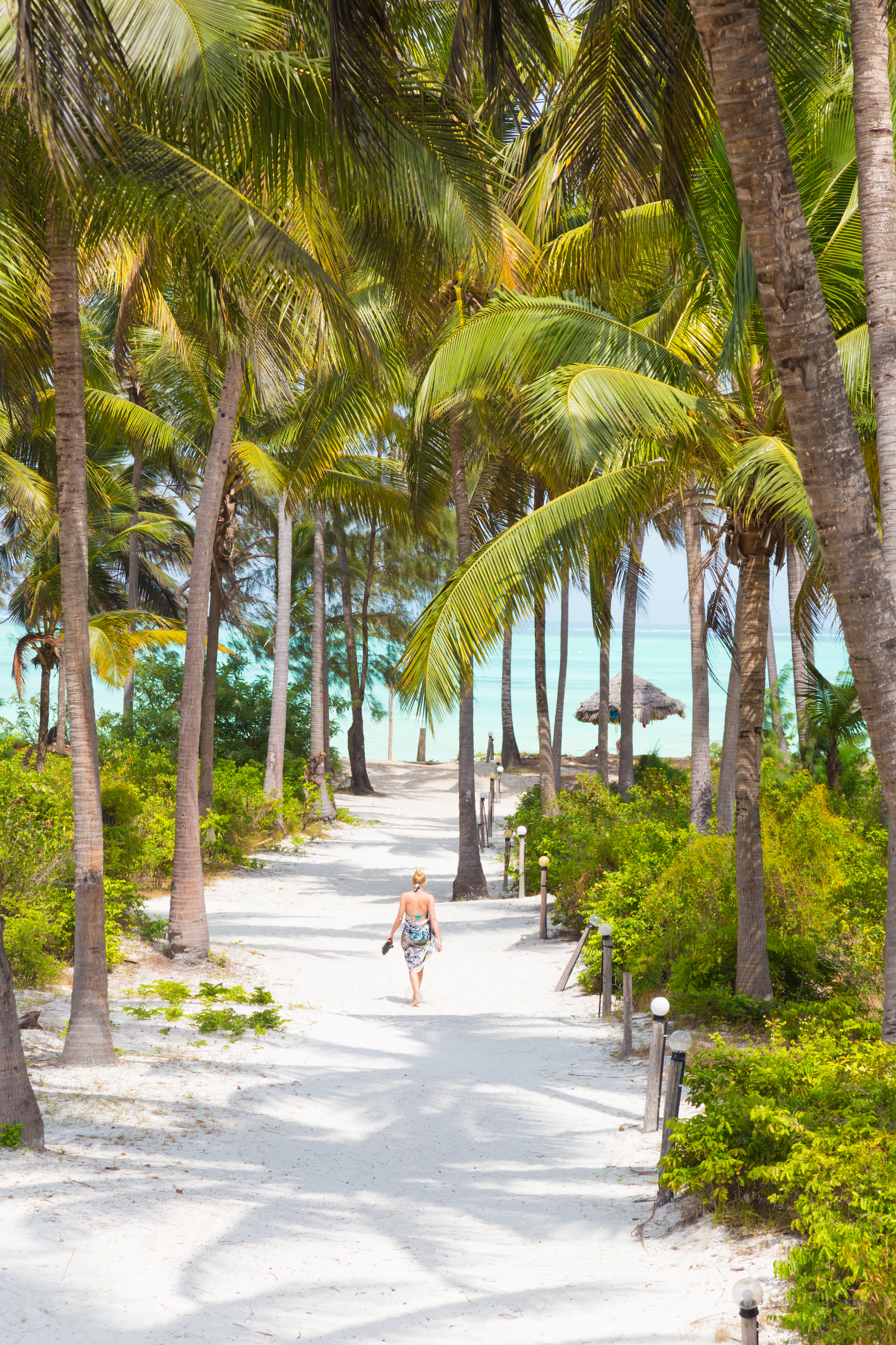 A woman in a colorful sarong walks barefoot through a lush green palm garden near the beach.
