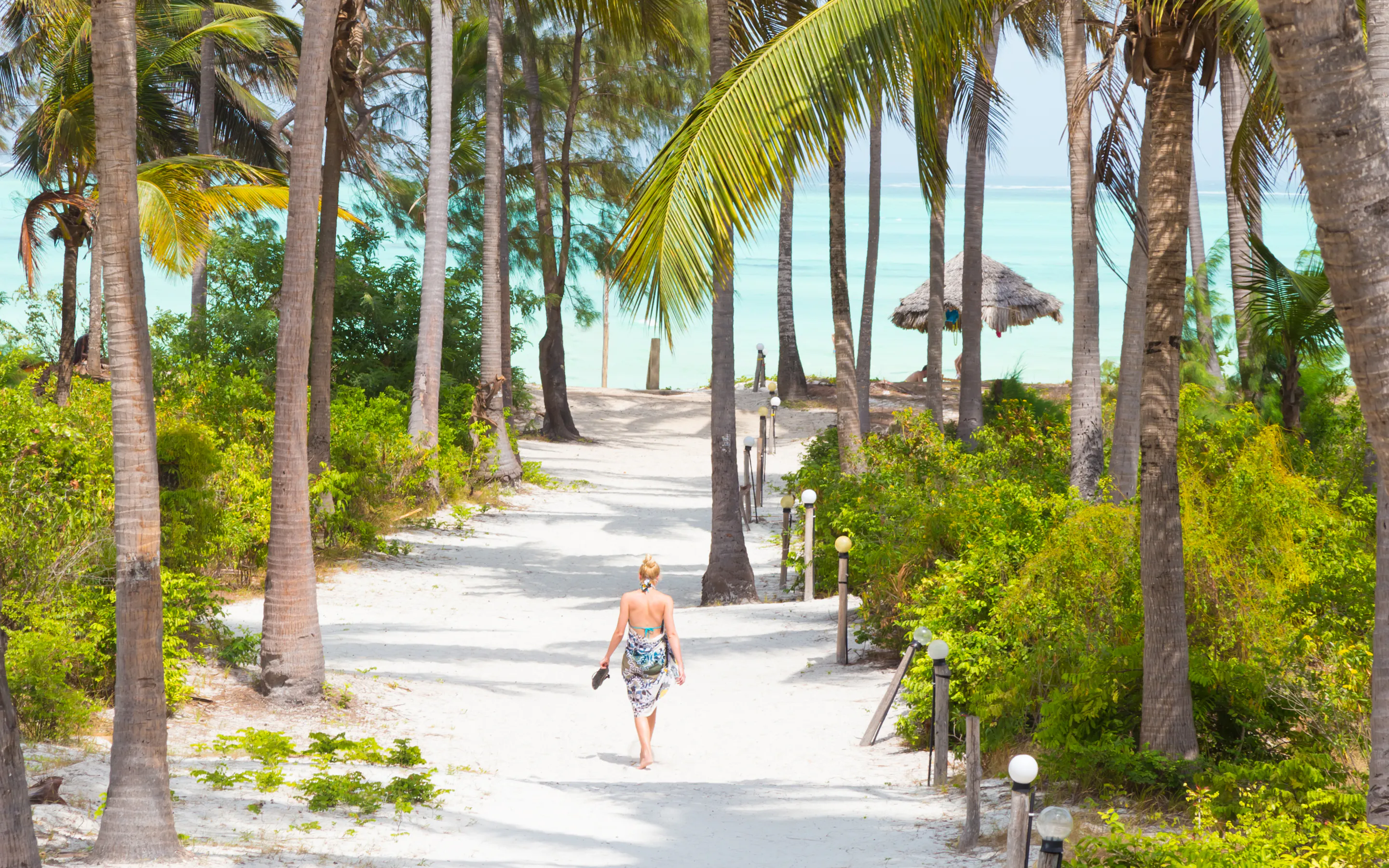 A woman in a colorful sarong walks barefoot through a lush green palm garden near the beach.
