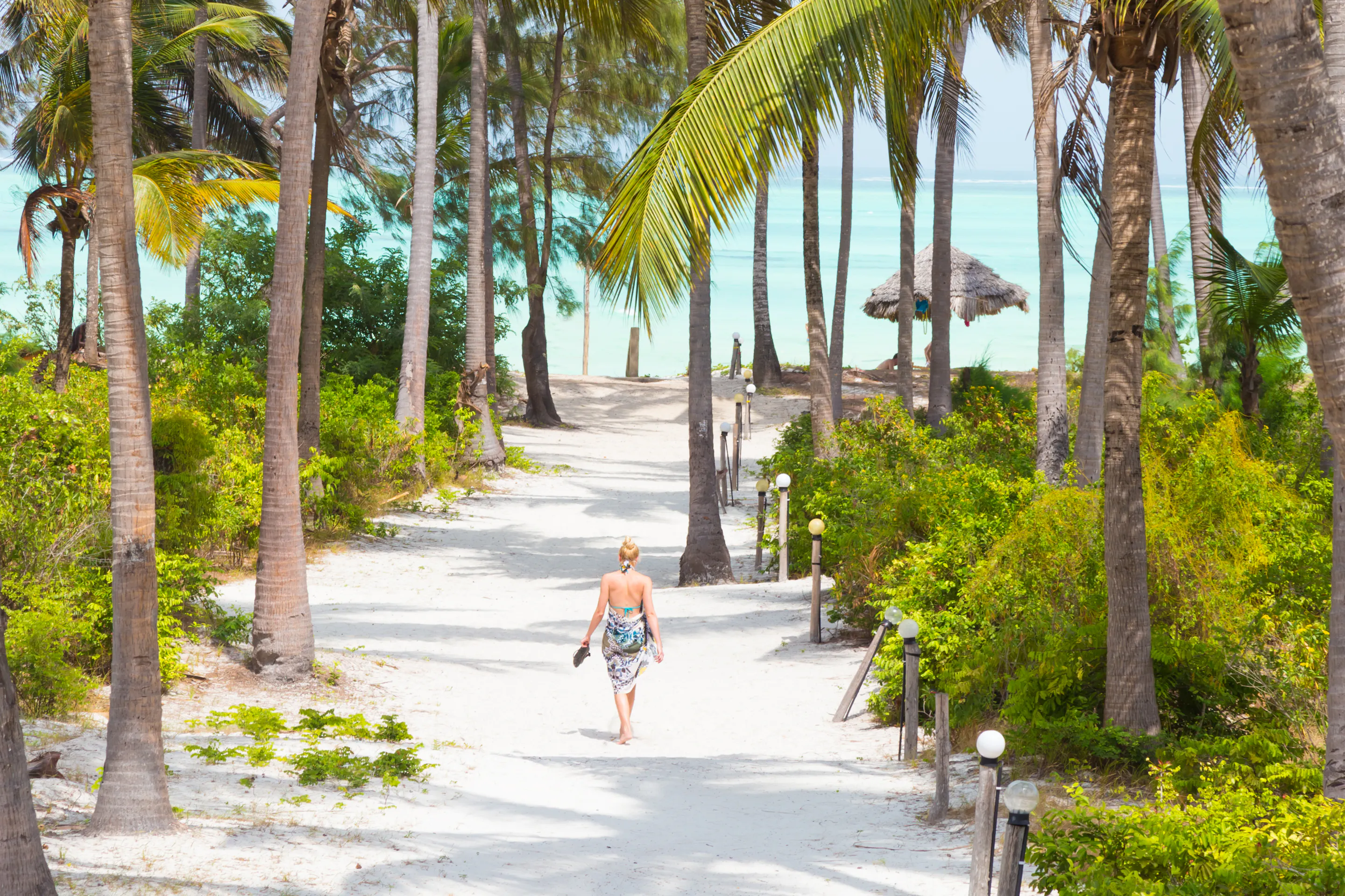A woman in a colorful sarong walks barefoot through a lush green palm garden near the beach.