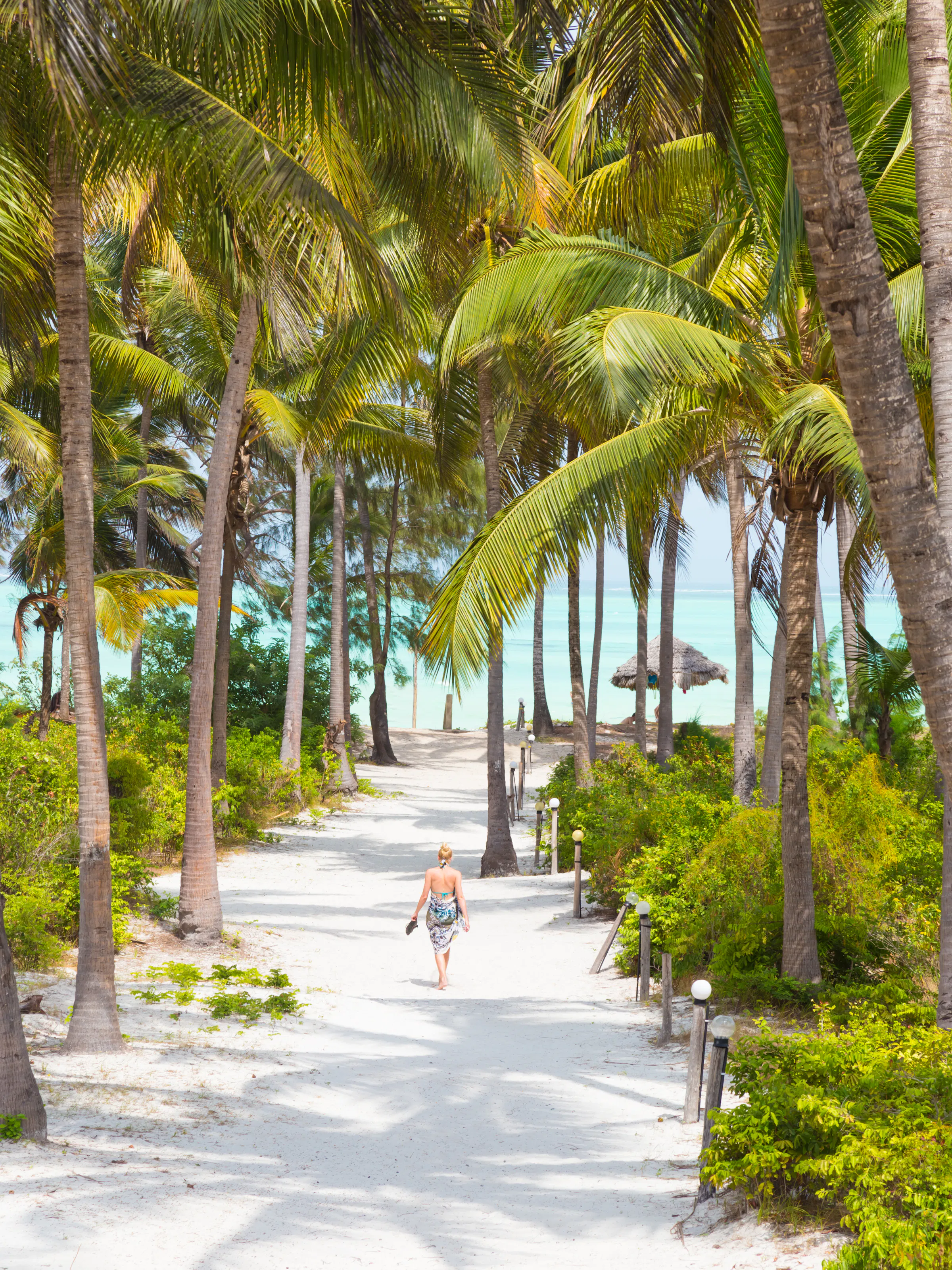 A woman in a colorful sarong walks barefoot through a lush green palm garden near the beach.