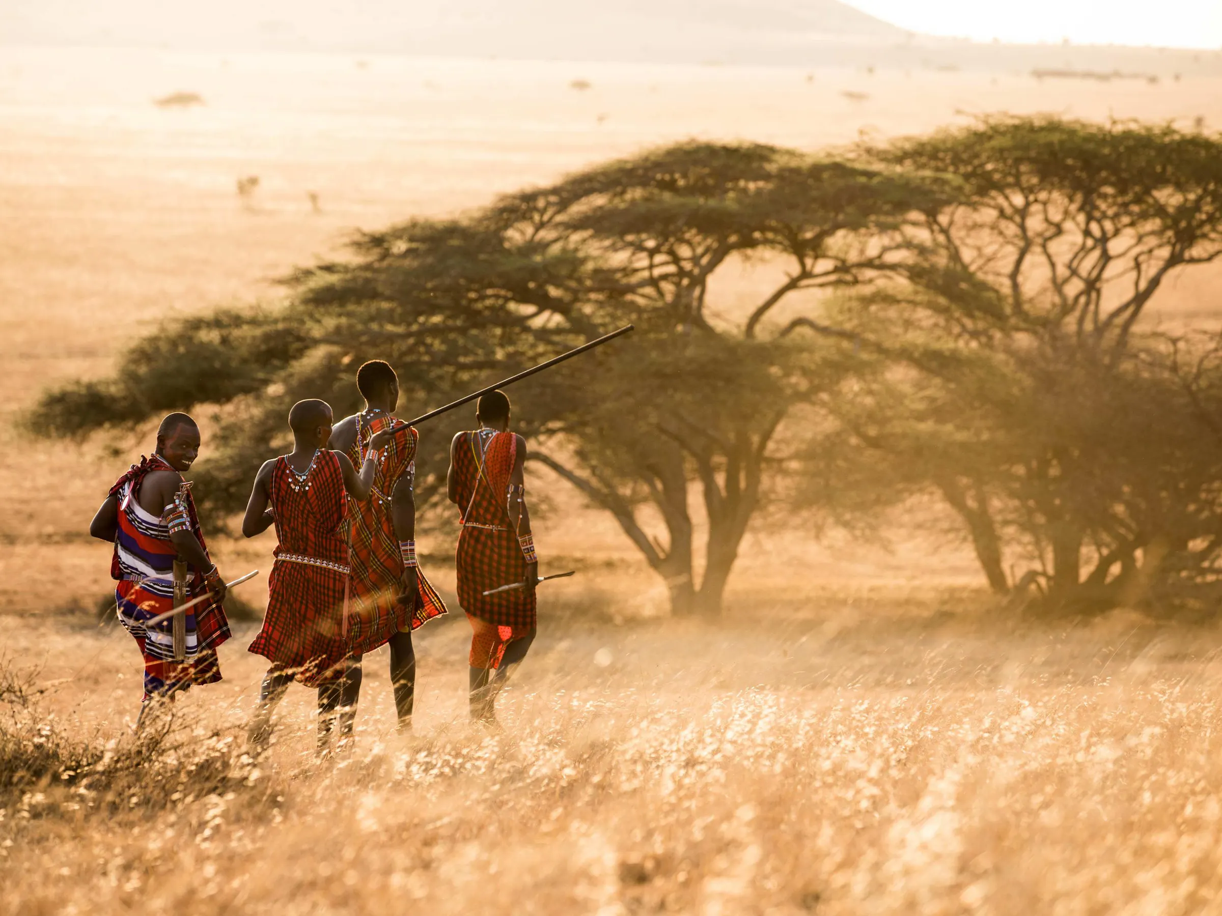 Three Maasai figures in red robes walk through a dusty golden landscape beneath wide acacia trees.