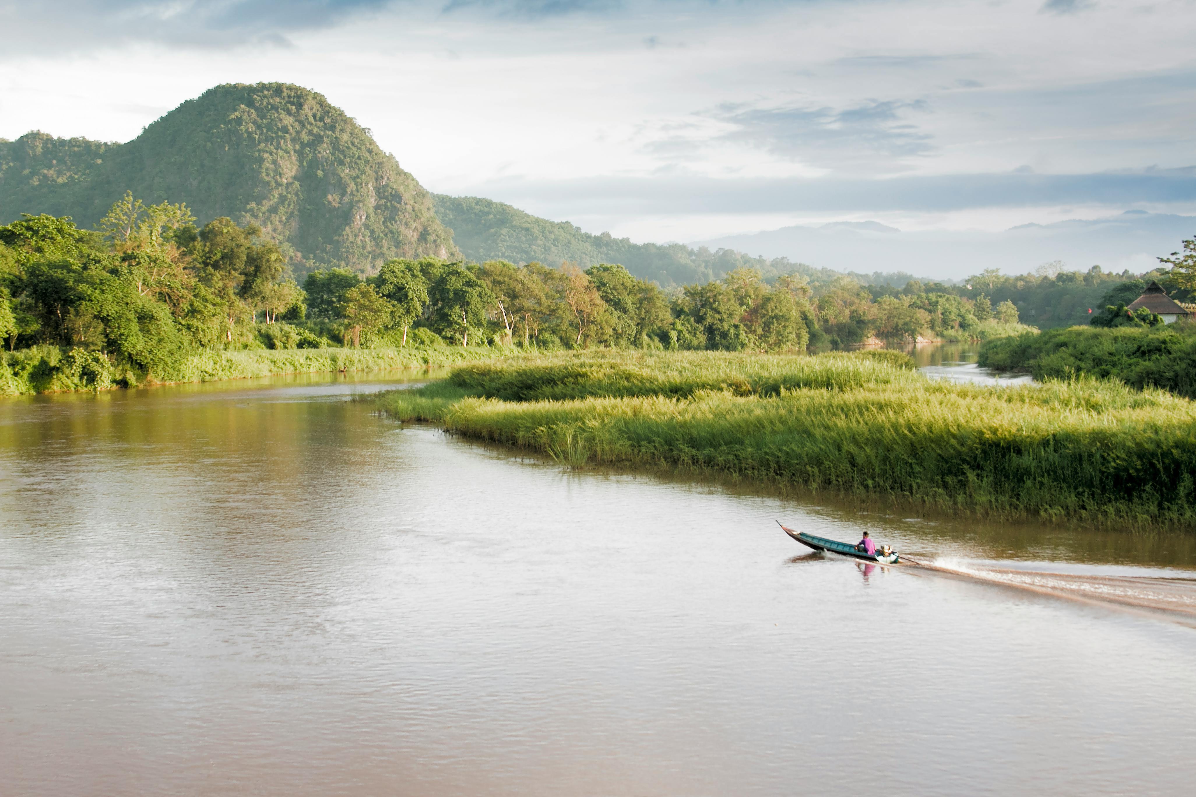 A narrow boat travels along a peaceful reed-lined waterway through flat green delta landscape.