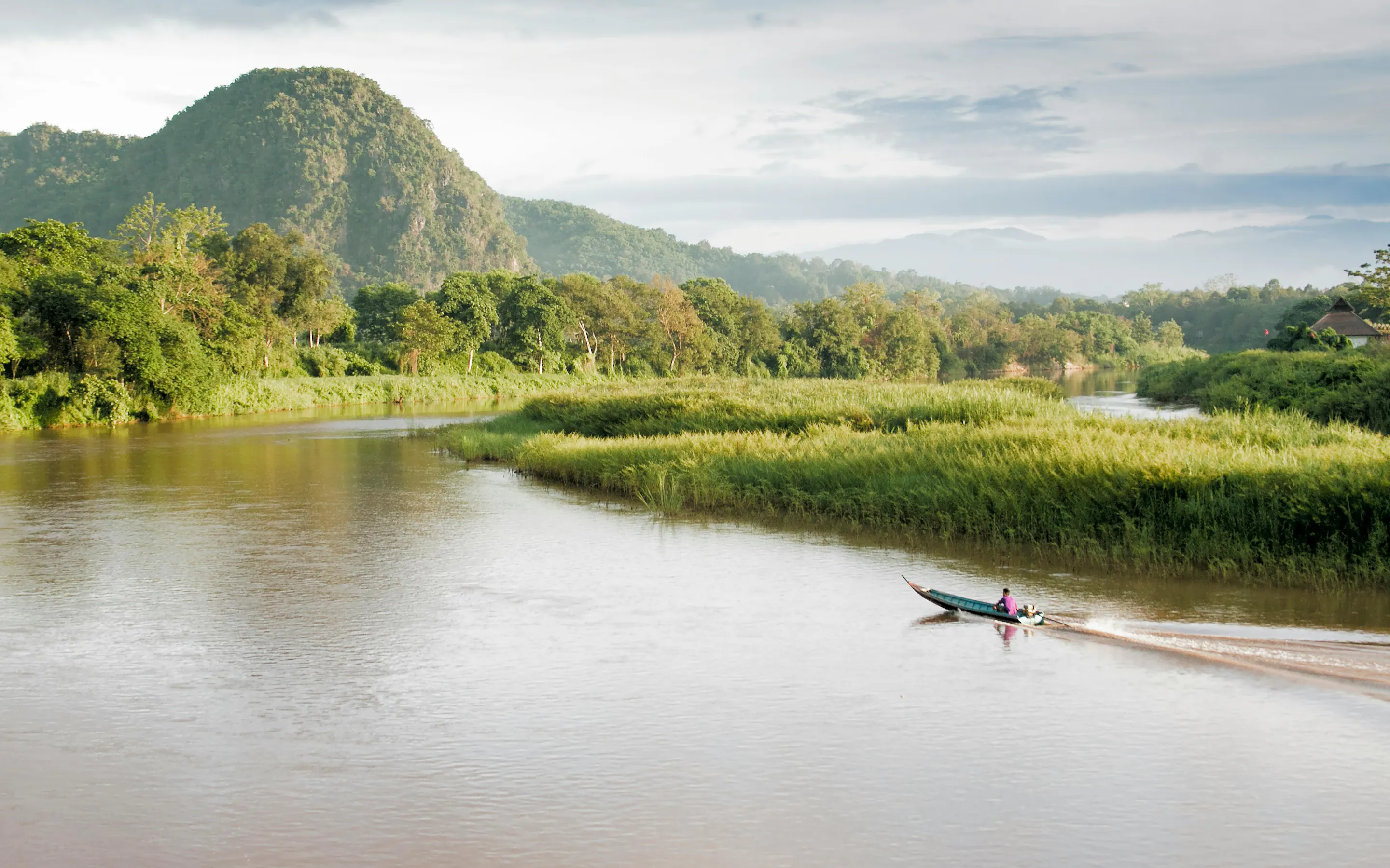 A narrow boat travels along a peaceful reed-lined waterway through flat green delta landscape.