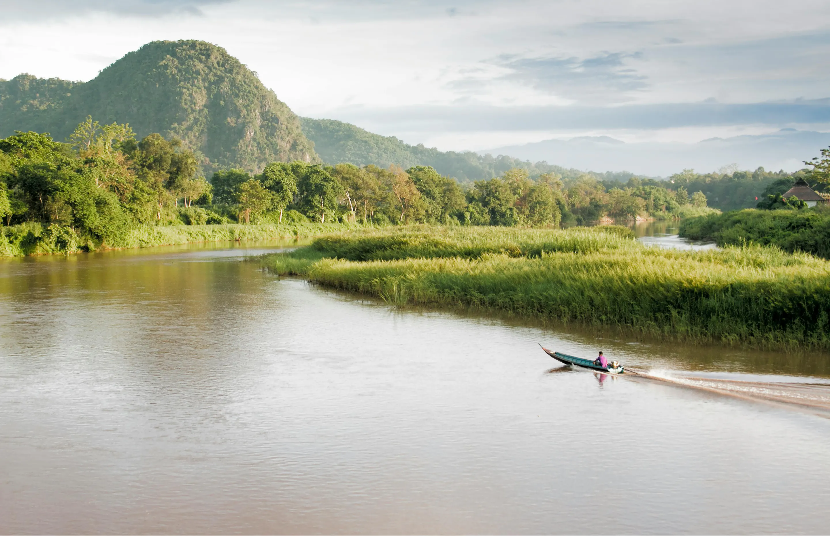 A narrow boat travels along a peaceful reed-lined waterway through flat green delta landscape.
