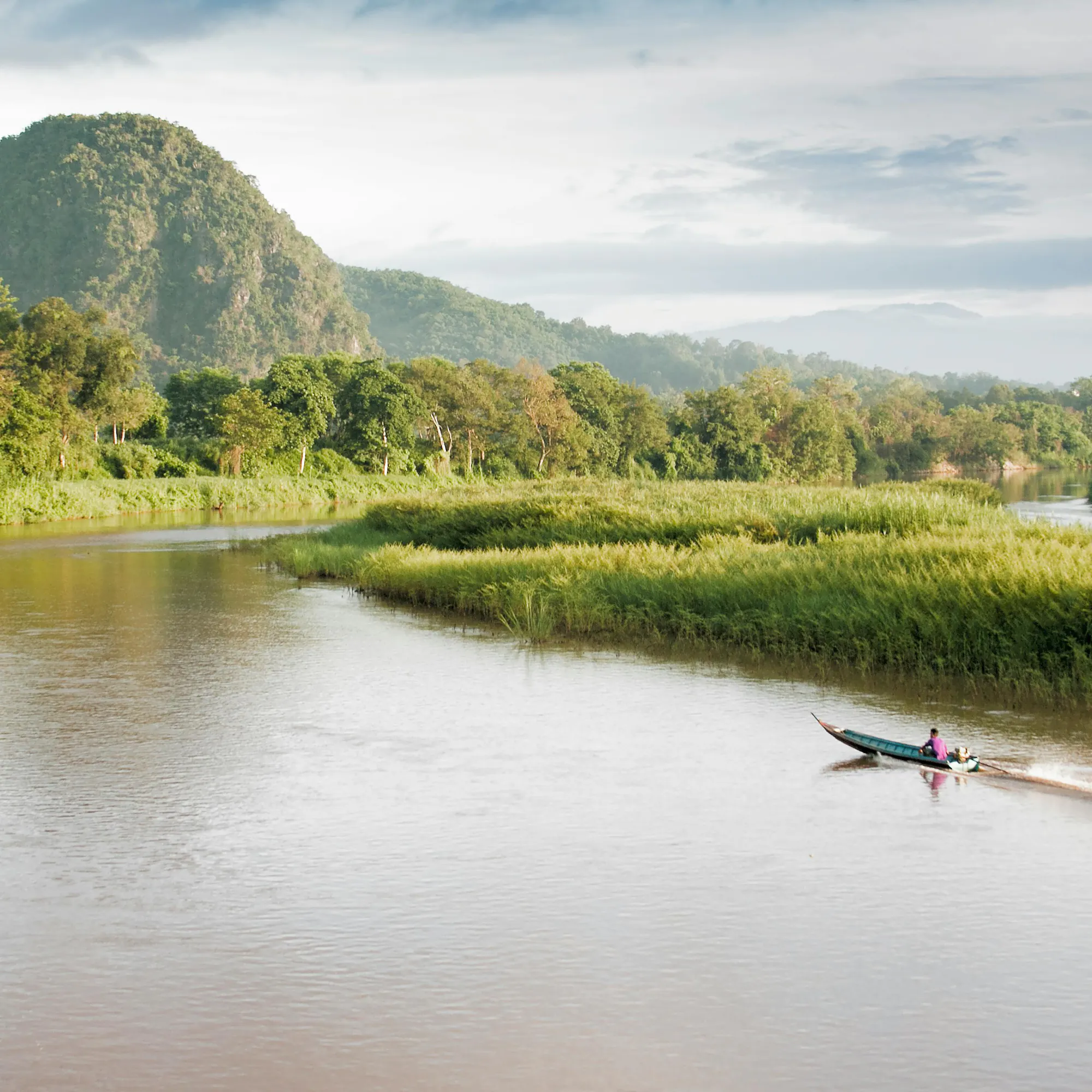 A narrow boat travels along a peaceful reed-lined waterway through flat green delta landscape.