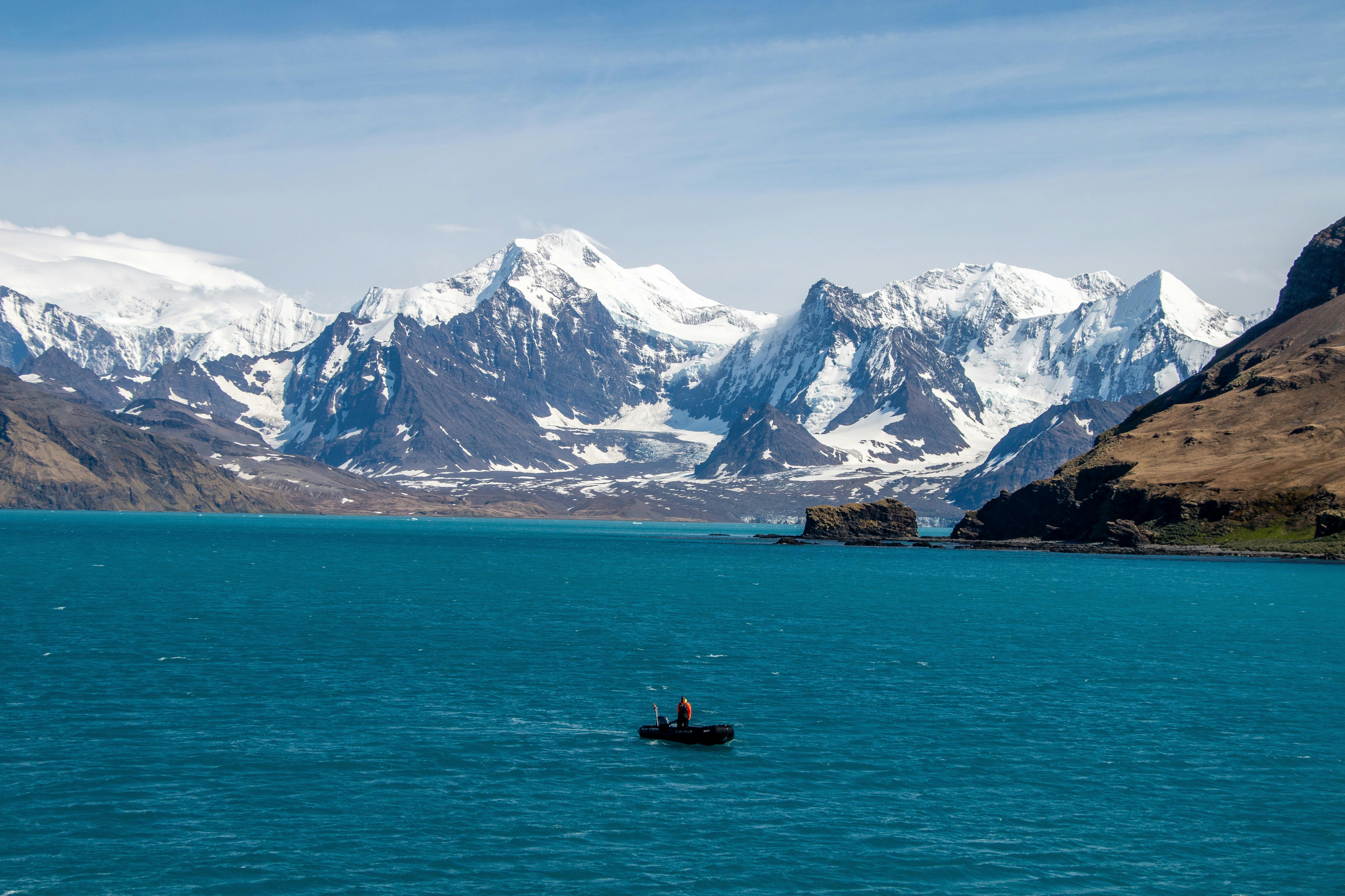 Two king penguins stand on a grassy hillside with snow-covered peaks rising in the background.