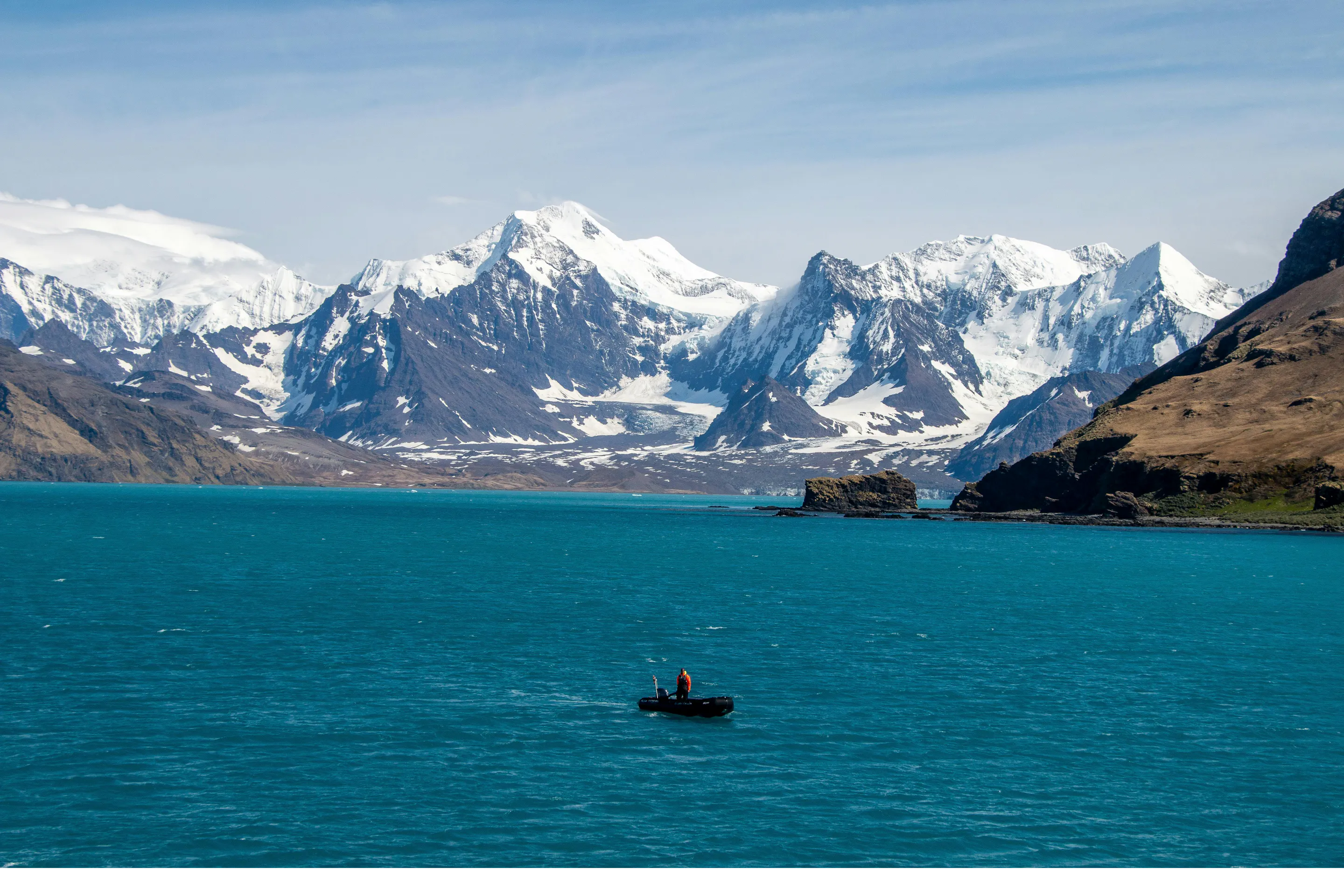 Two king penguins stand on a grassy hillside with snow-covered peaks rising in the background.