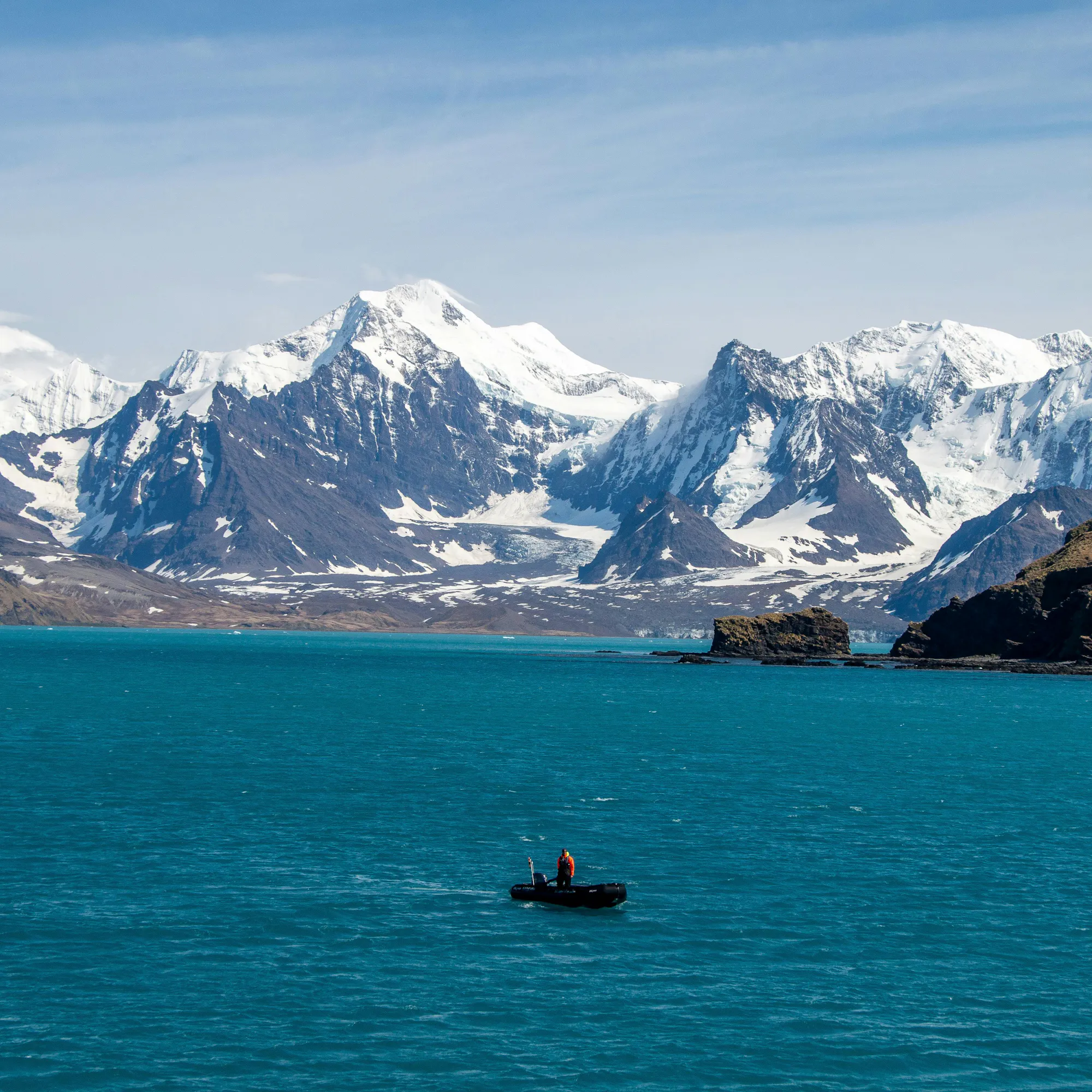 Two king penguins stand on a grassy hillside with snow-covered peaks rising in the background.