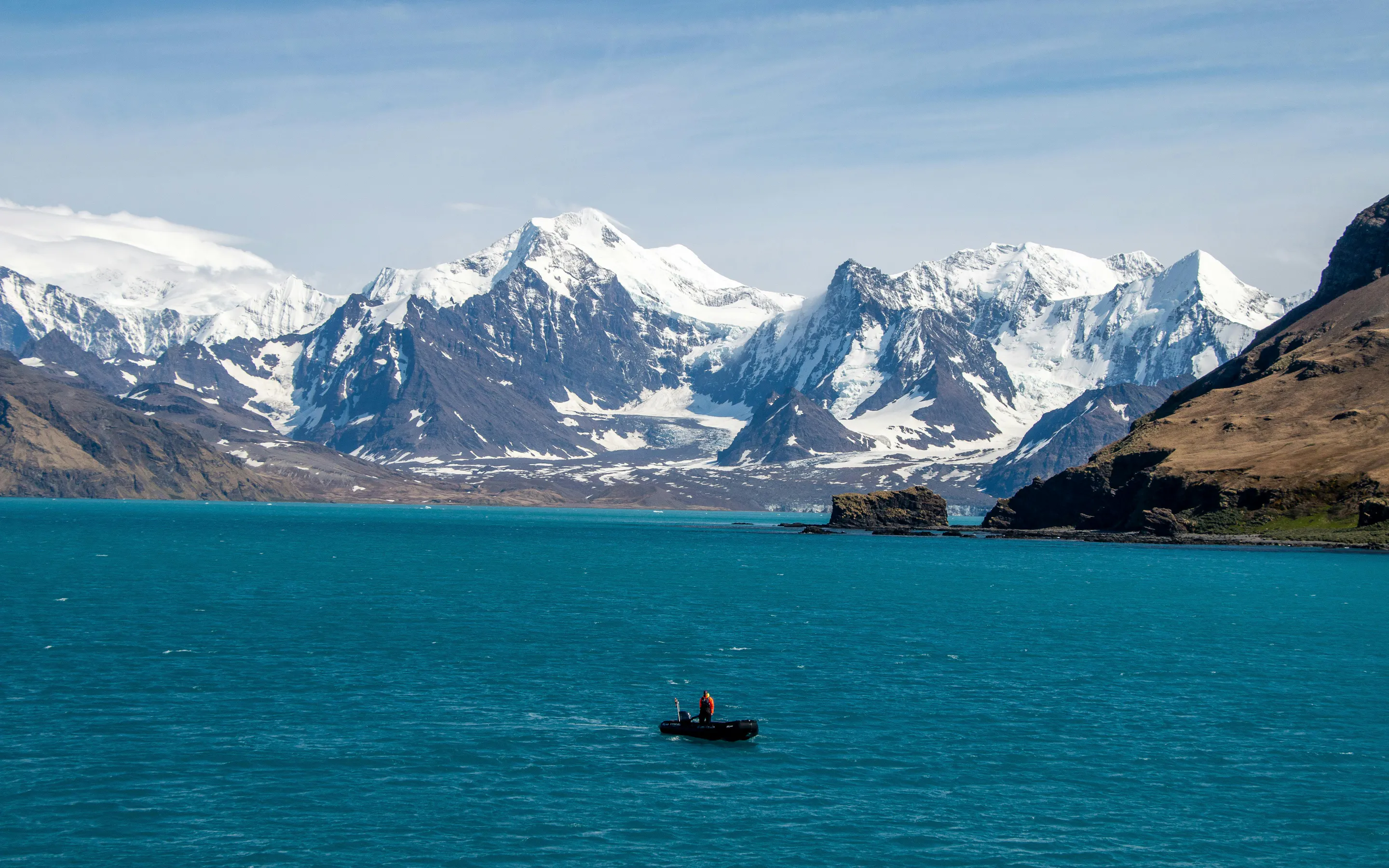 Two king penguins stand on a grassy hillside with snow-covered peaks rising in the background.