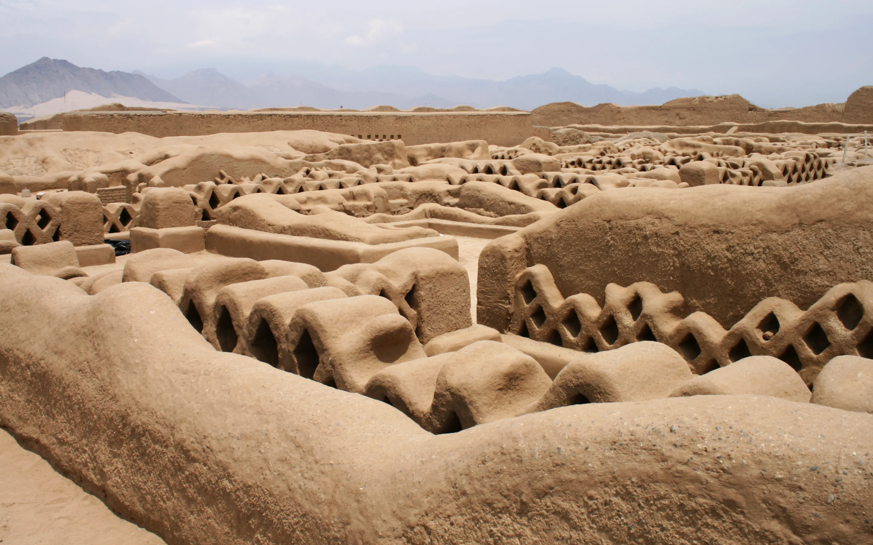 Intricate adobe friezes and eroded mud-brick walls stretch across the ancient ruins of Chan Chan.
