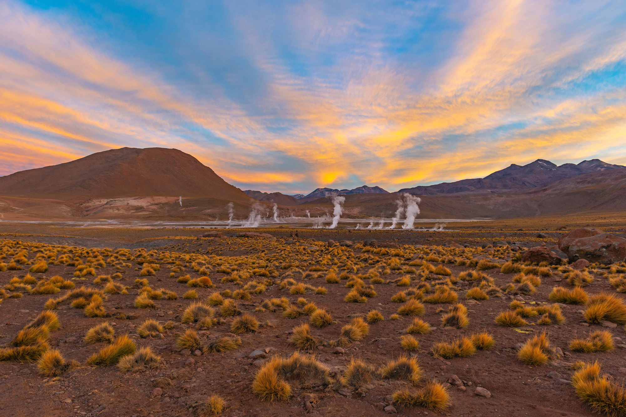 Steam jets erupt from geothermal vents at El Tatio geyser field at dawn in Chile's Atacama Desert.