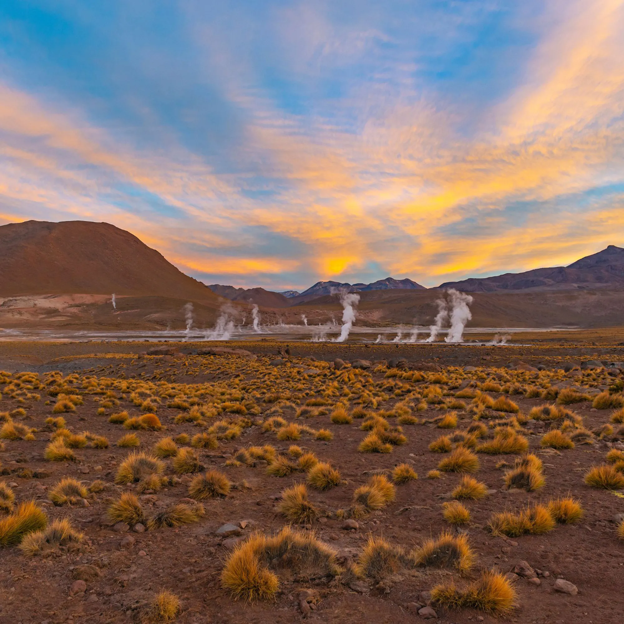 Steam jets erupt from geothermal vents at El Tatio geyser field at dawn in Chile's Atacama Desert.