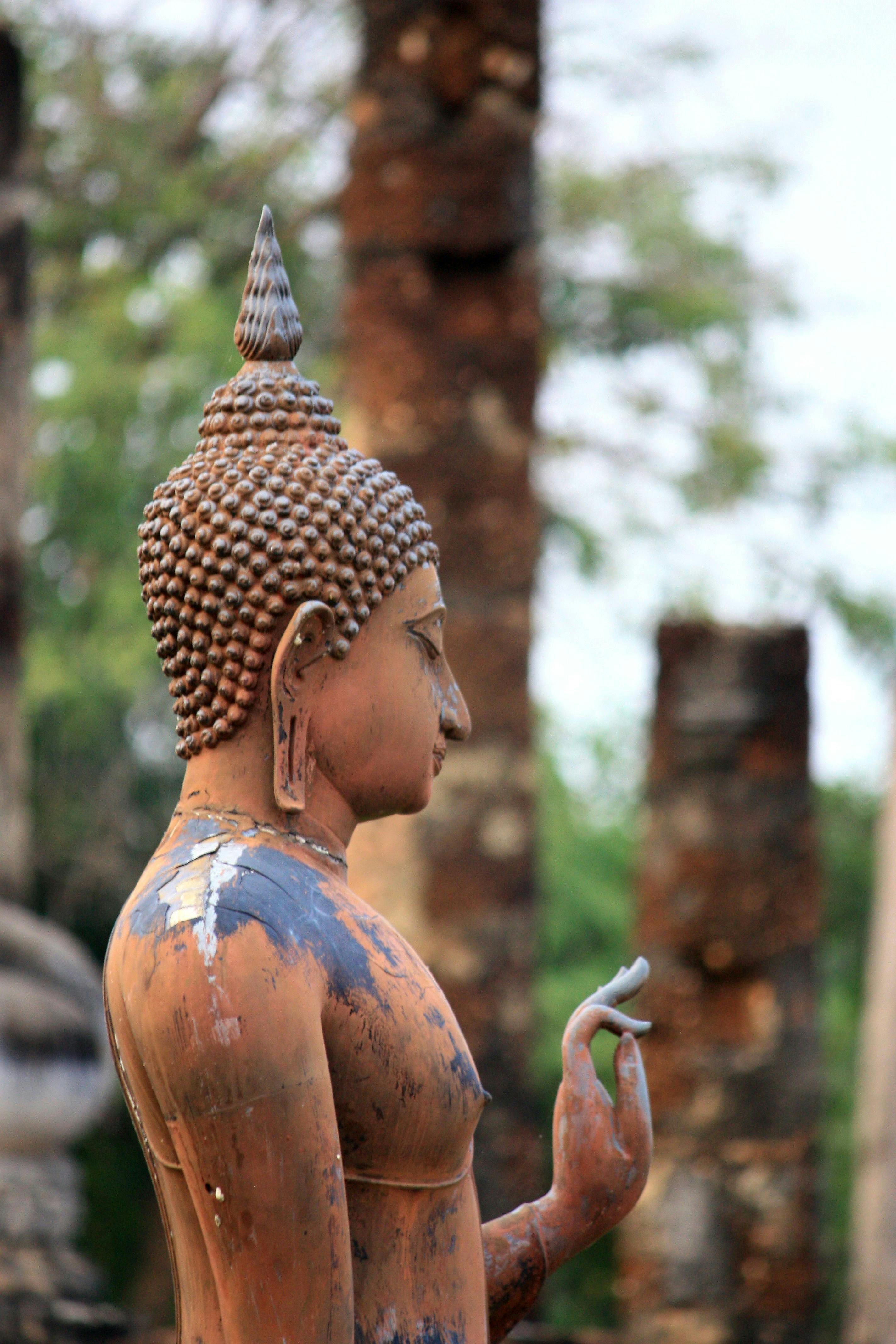 A weathered stone Buddha statue sits amid tall trees and ancient ruins in Sukhothai Historical Park.