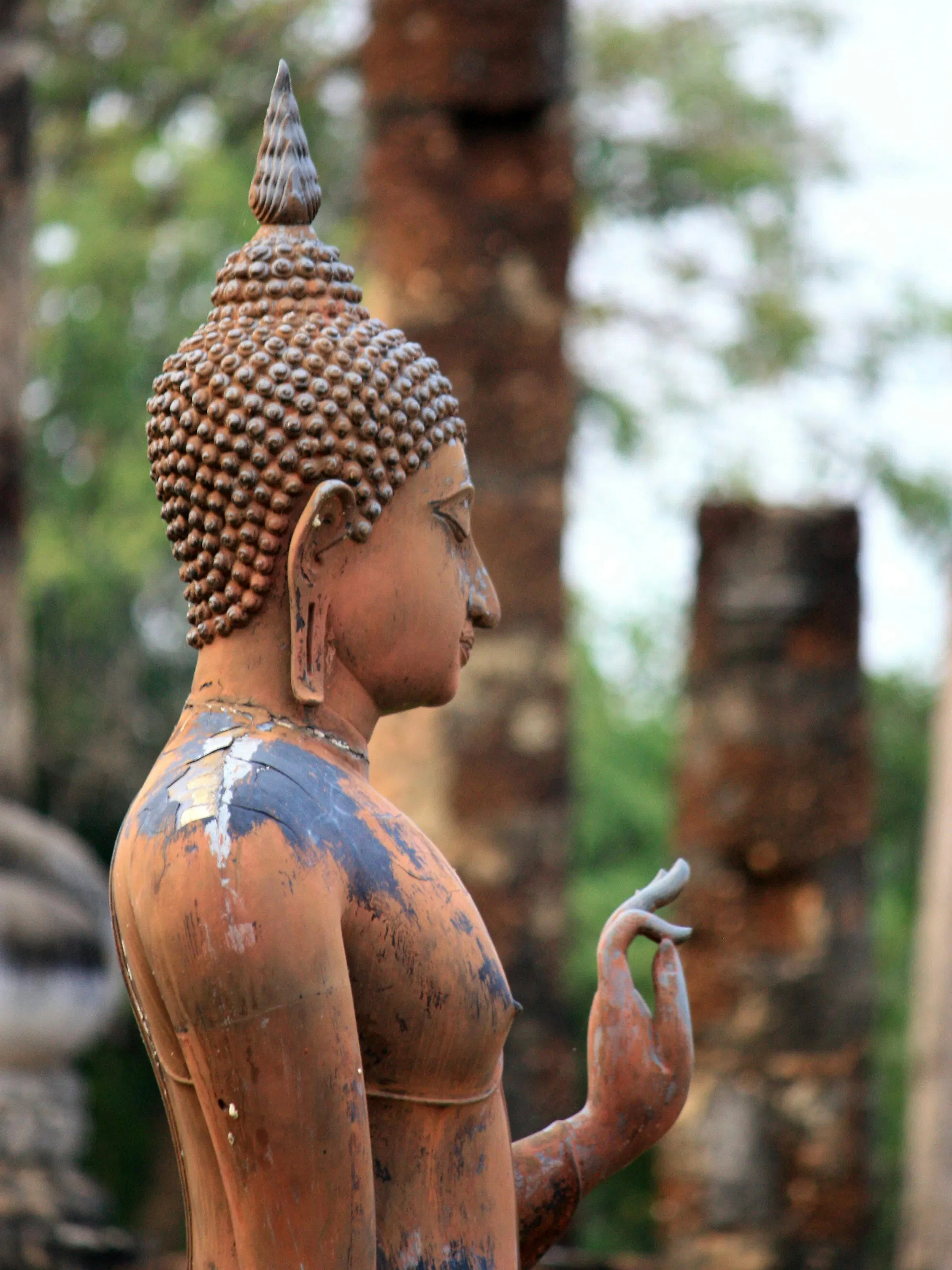 A weathered stone Buddha statue sits amid tall trees and ancient ruins in Sukhothai Historical Park.