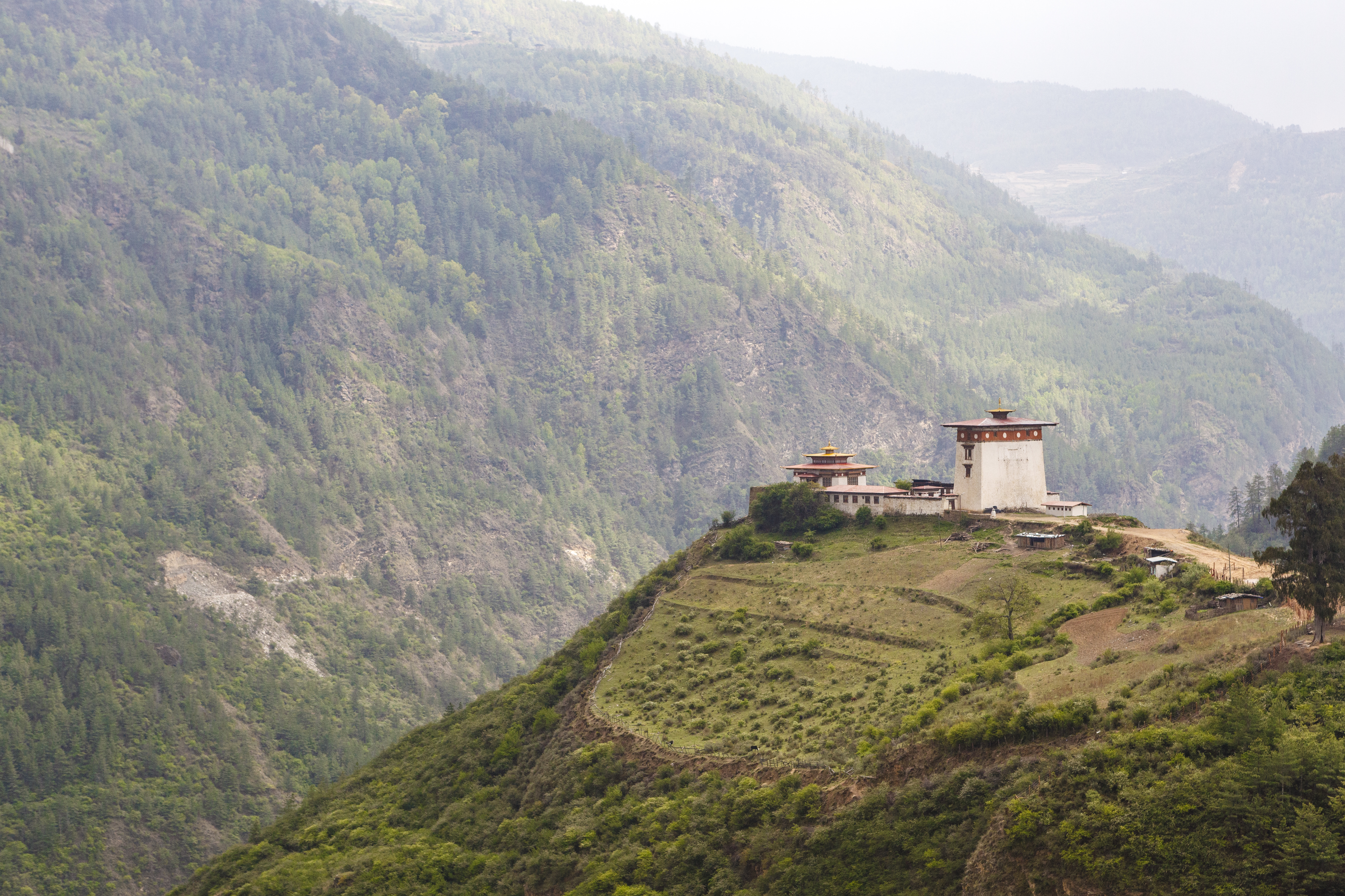 A white-walled Bhutanese dzong with a red tiered roof sits on a steep green forested hillside.