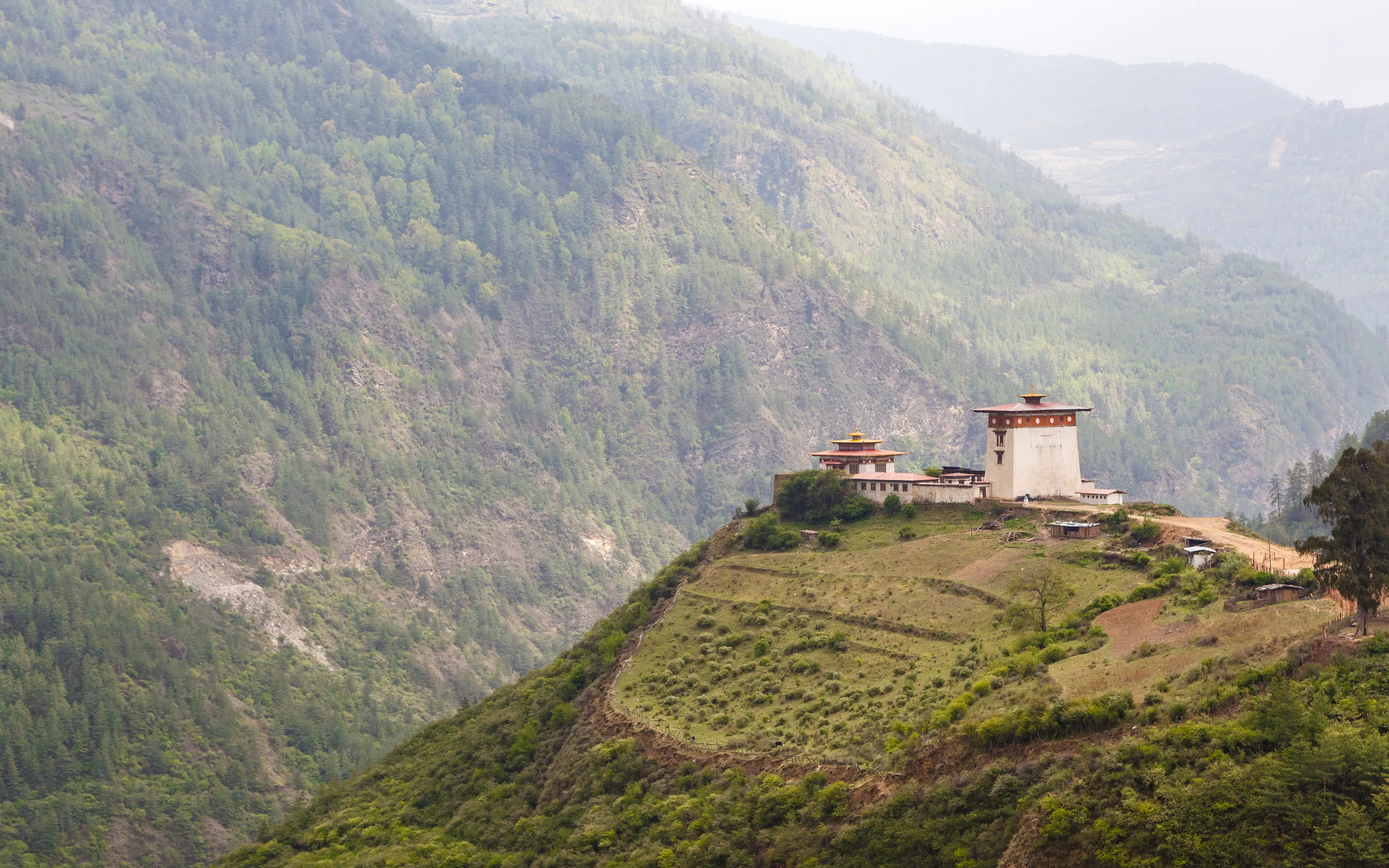 A white-walled Bhutanese dzong with a red tiered roof sits on a steep green forested hillside.