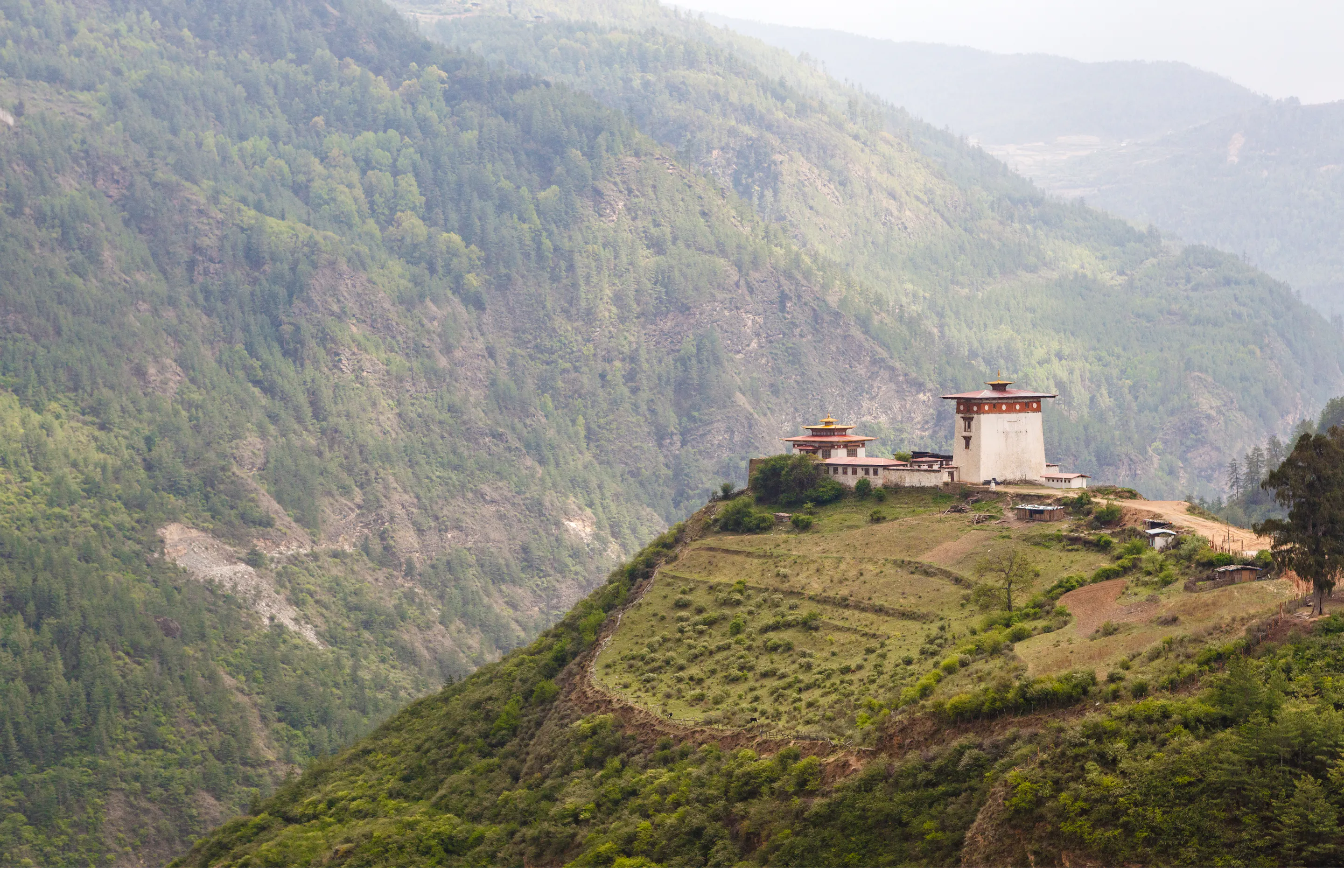 A white-walled Bhutanese dzong with a red tiered roof sits on a steep green forested hillside.