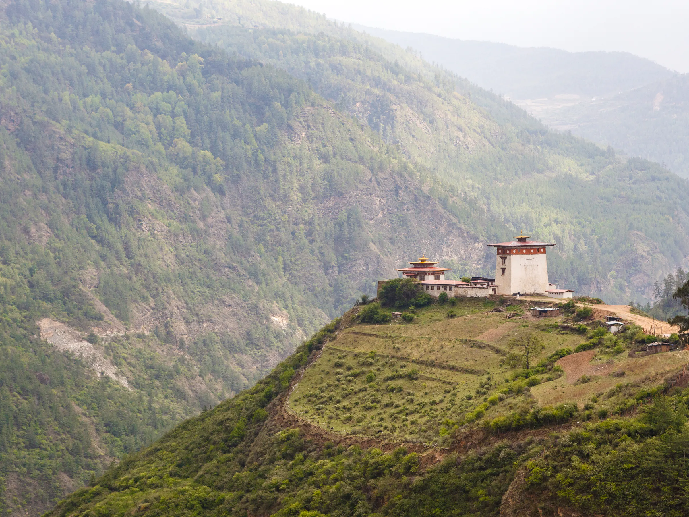 A white-walled Bhutanese dzong with a red tiered roof sits on a steep green forested hillside.