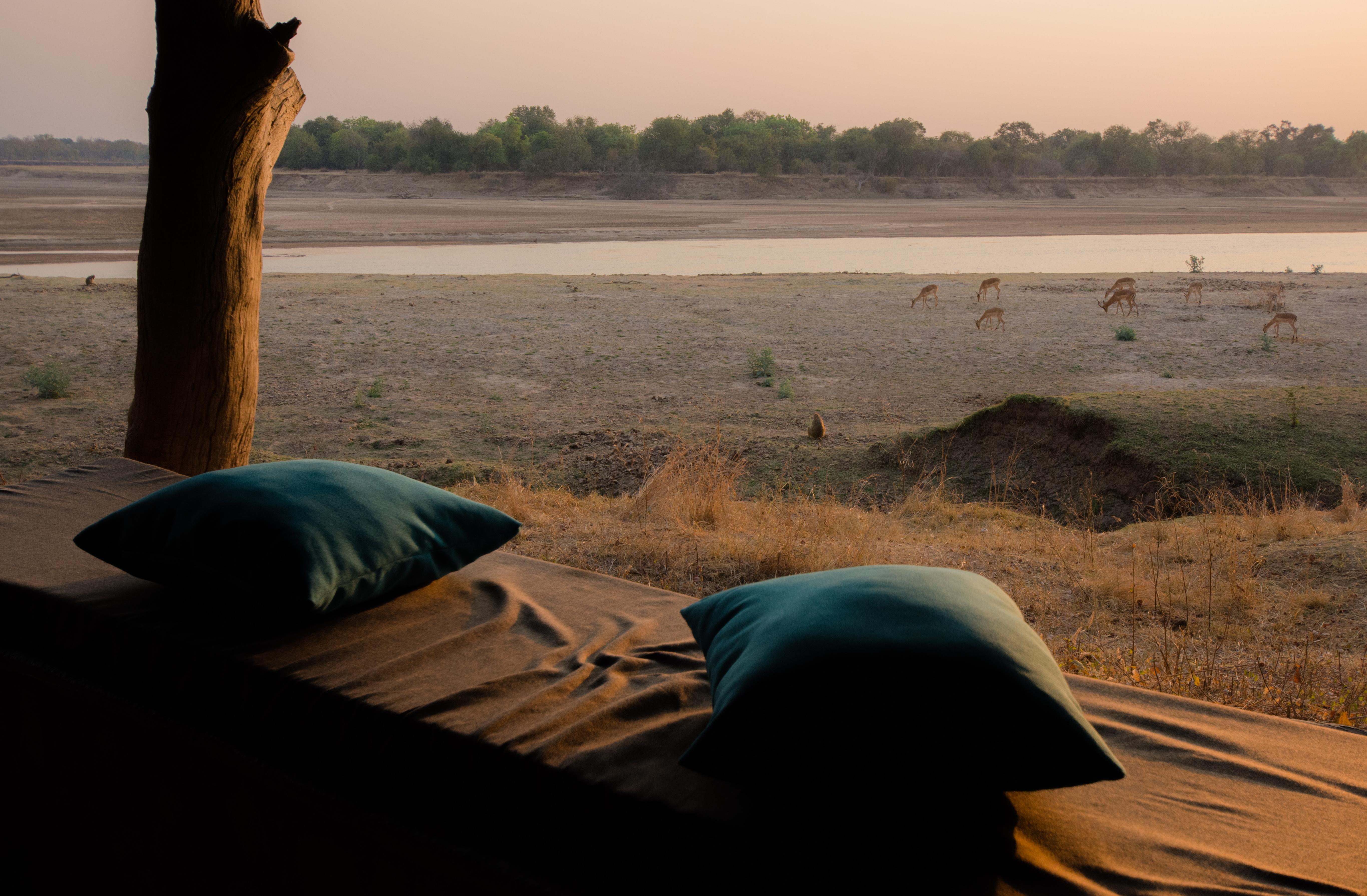 Two sleeping cushions on a low camp bed face an open tent with a dry riverbed view beyond.