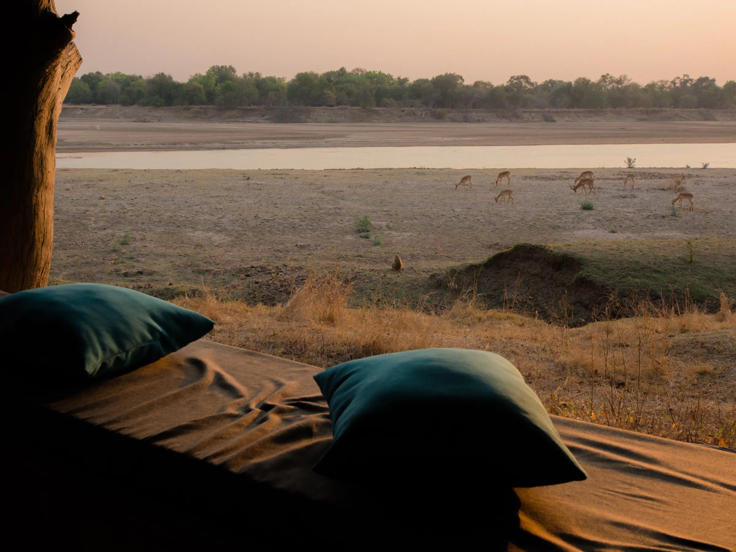 Two sleeping cushions on a low camp bed face an open tent with a dry riverbed view beyond.