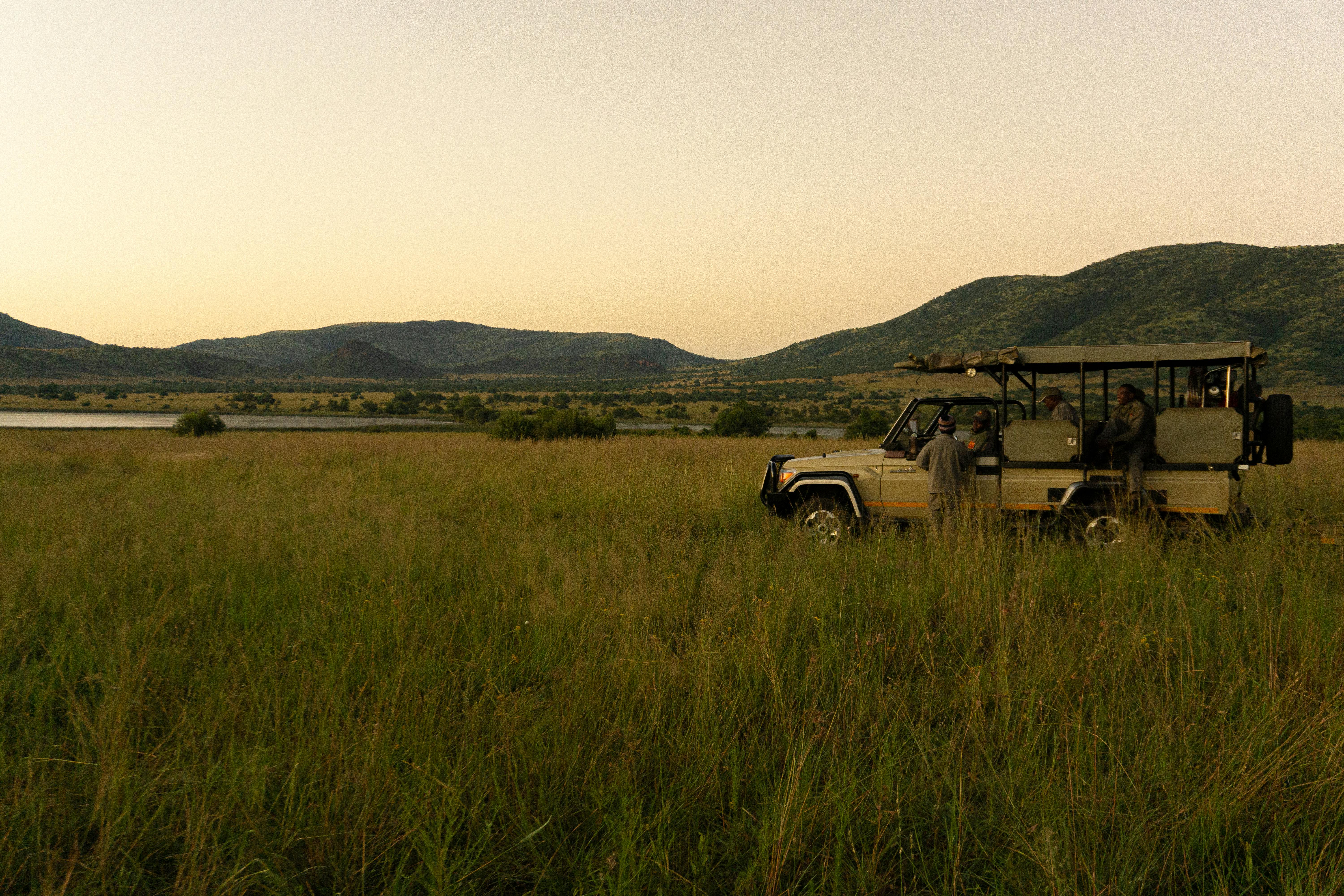 A safari vehicle sits in golden grassland as two tourists observe wildlife at golden hour.