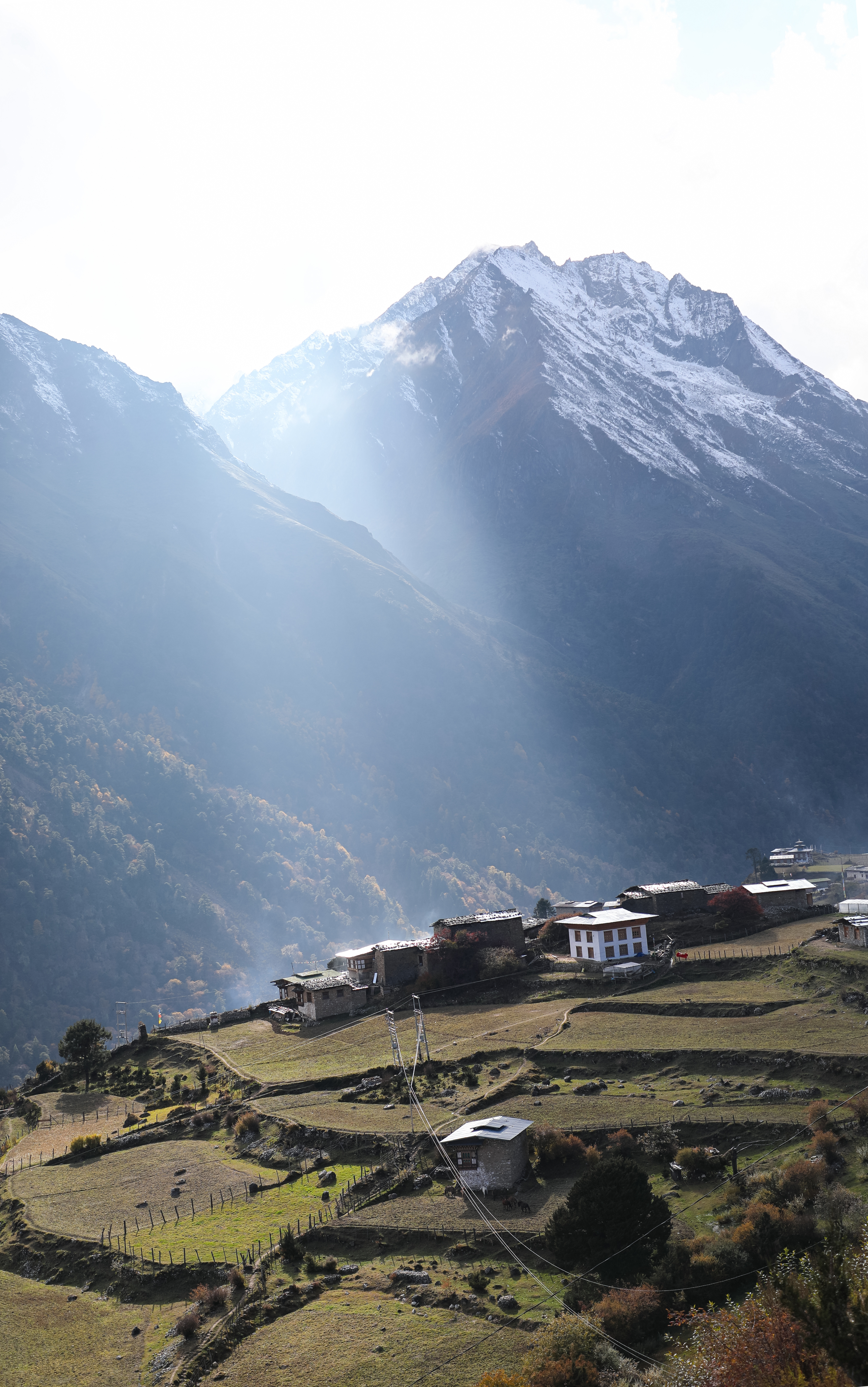A remote mountain village with traditional wooden houses sits beneath steep snow-dusted peaks in Laya.