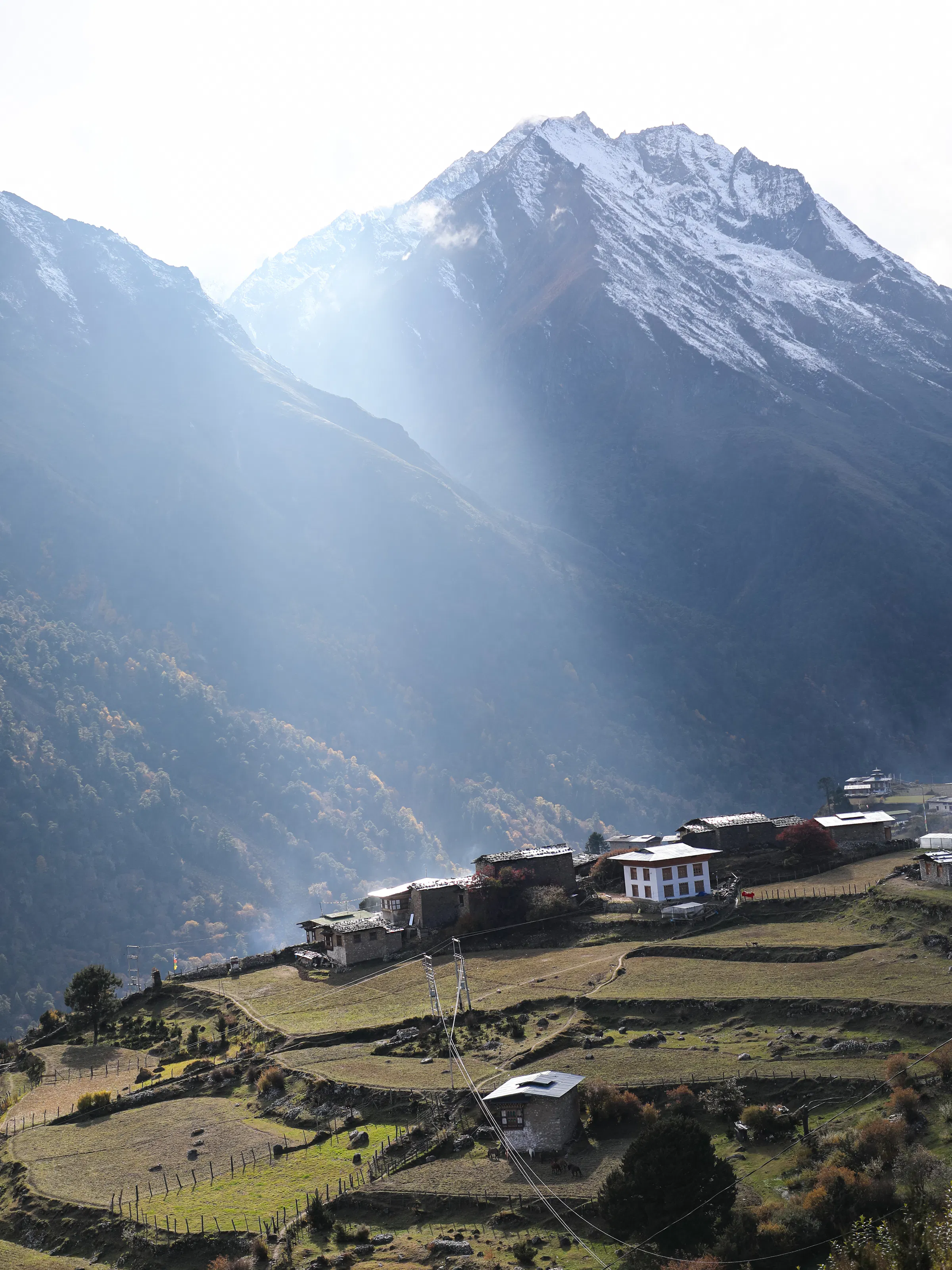 A remote mountain village with traditional wooden houses sits beneath steep snow-dusted peaks in Laya.