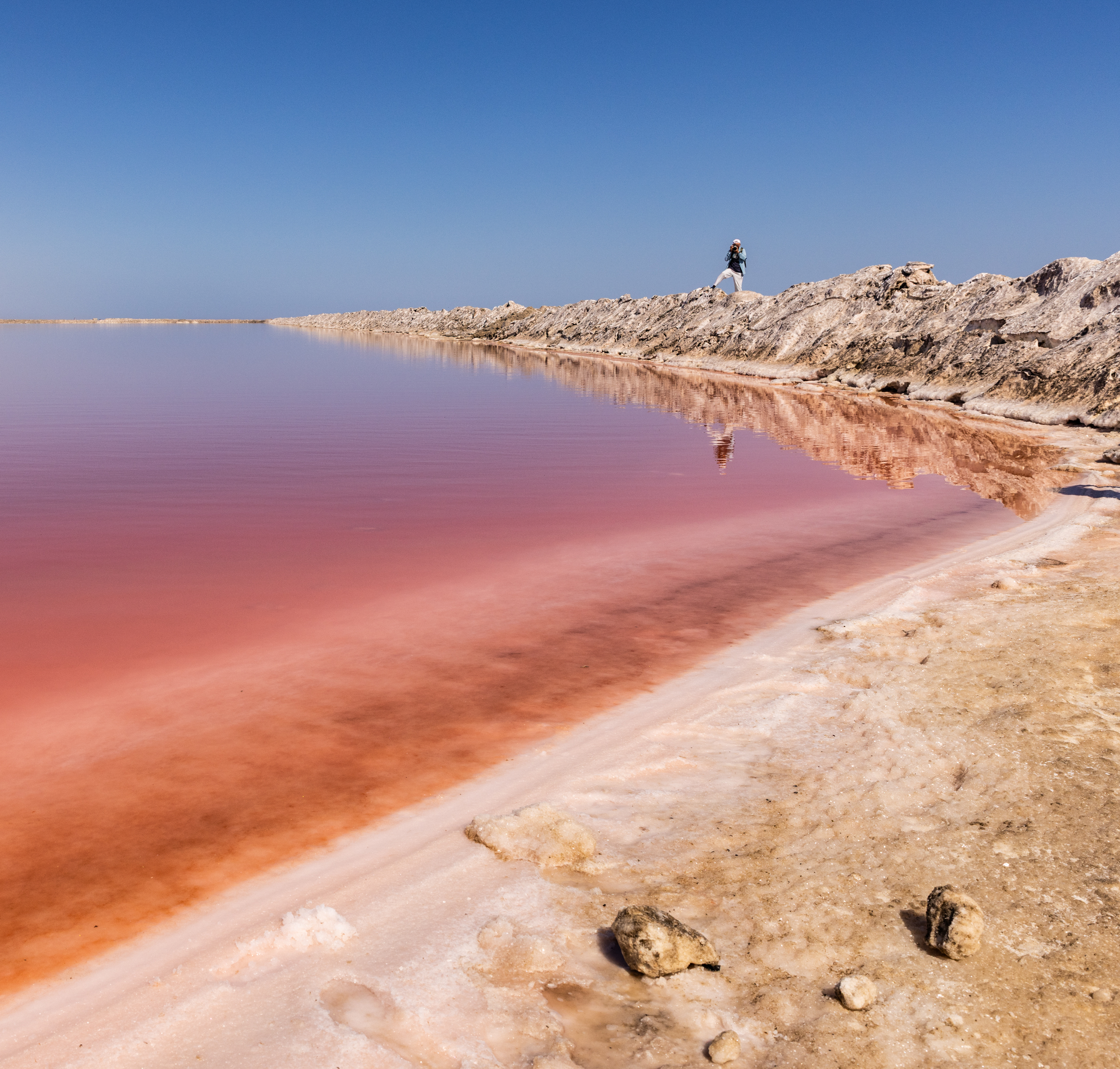 A large flock of flamingos wades in the shallow pink waters of a salt lagoon near Walvis Bay.