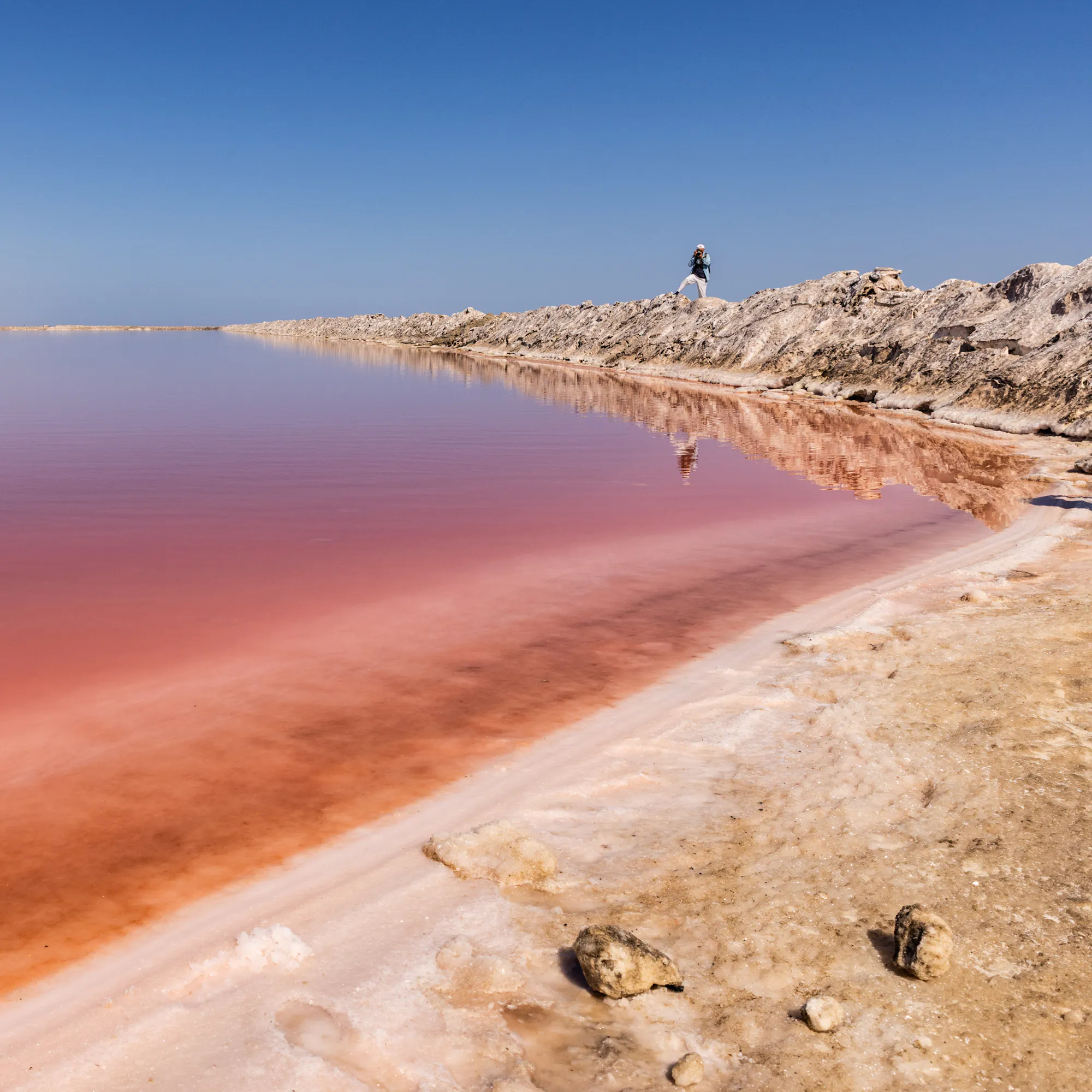 A large flock of flamingos wades in the shallow pink waters of a salt lagoon near Walvis Bay.