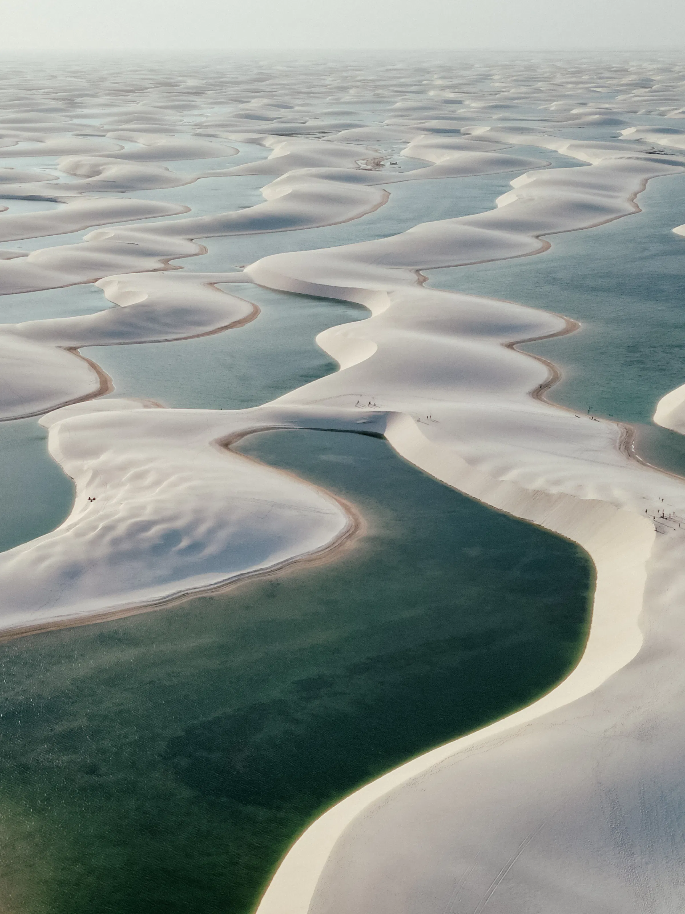 Aerial view of the Lençóis Maranhenses shows endless white dunes interspersed with blue lagoons.