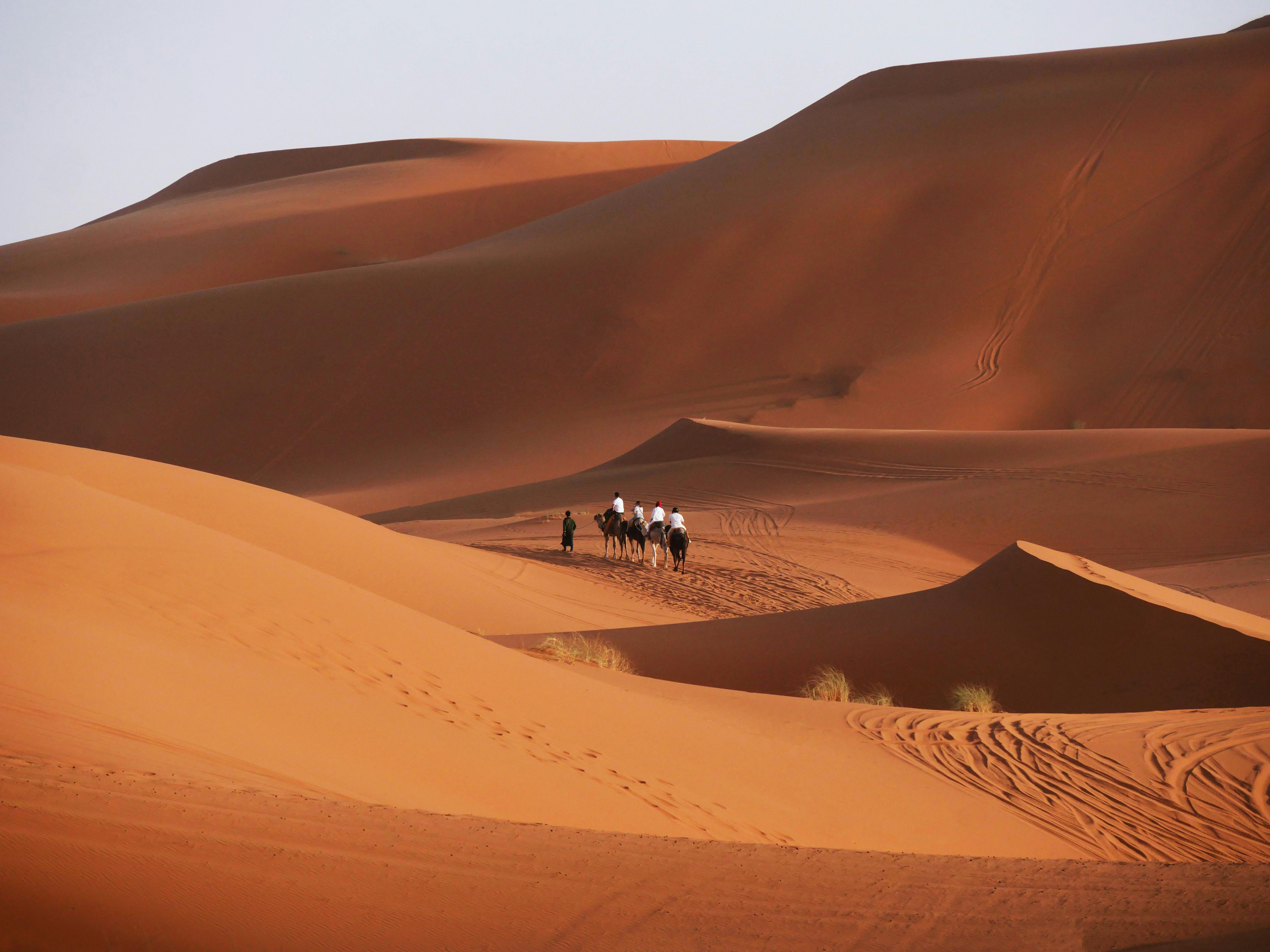 Two camels and riders crest a ridge of smooth orange sand dunes in Morocco's Sahara Desert.