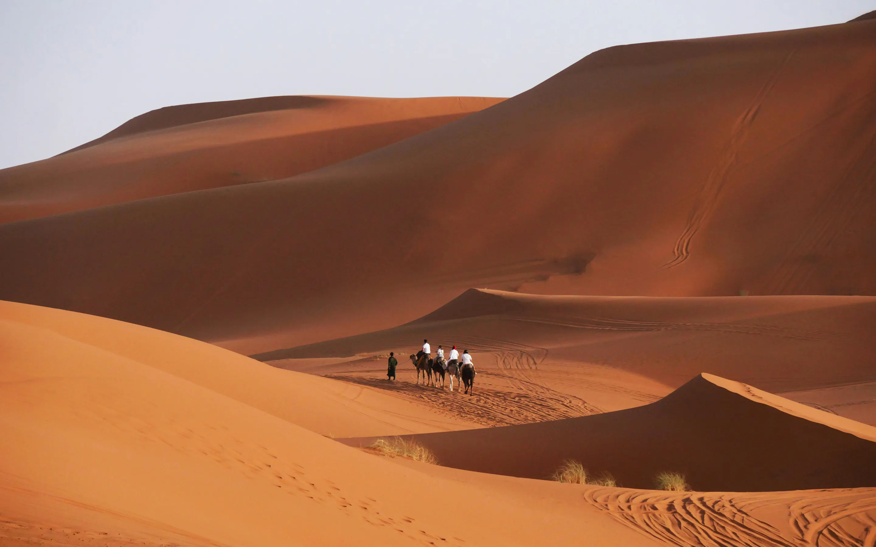 Two camels and riders crest a ridge of smooth orange sand dunes in Morocco's Sahara Desert.