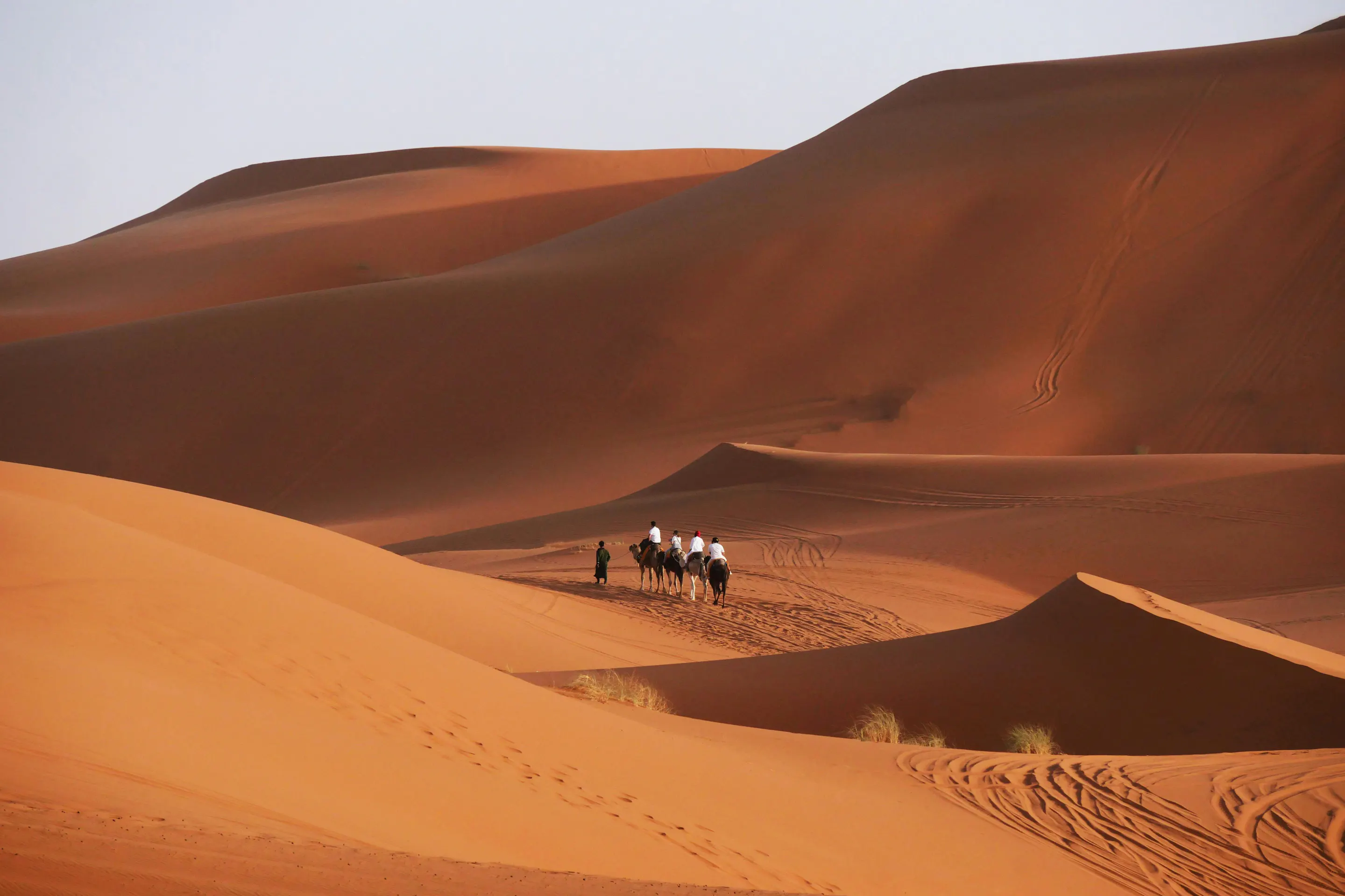 Two camels and riders crest a ridge of smooth orange sand dunes in Morocco's Sahara Desert.