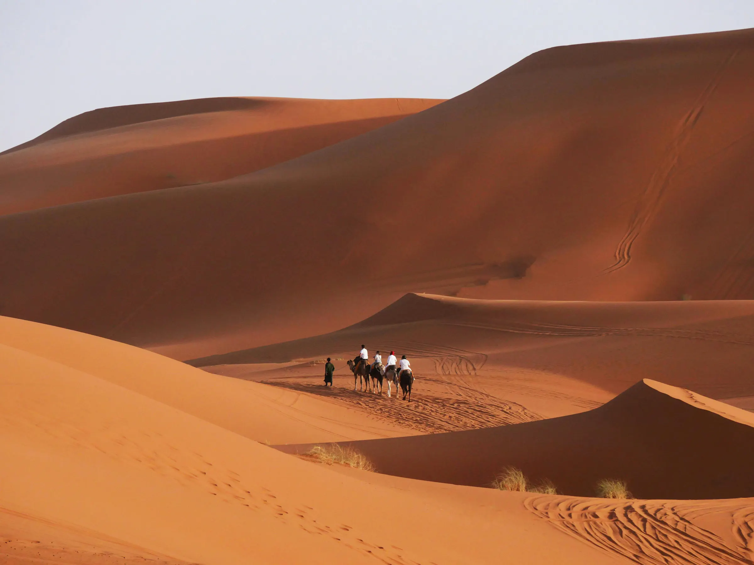 Two camels and riders crest a ridge of smooth orange sand dunes in Morocco's Sahara Desert.