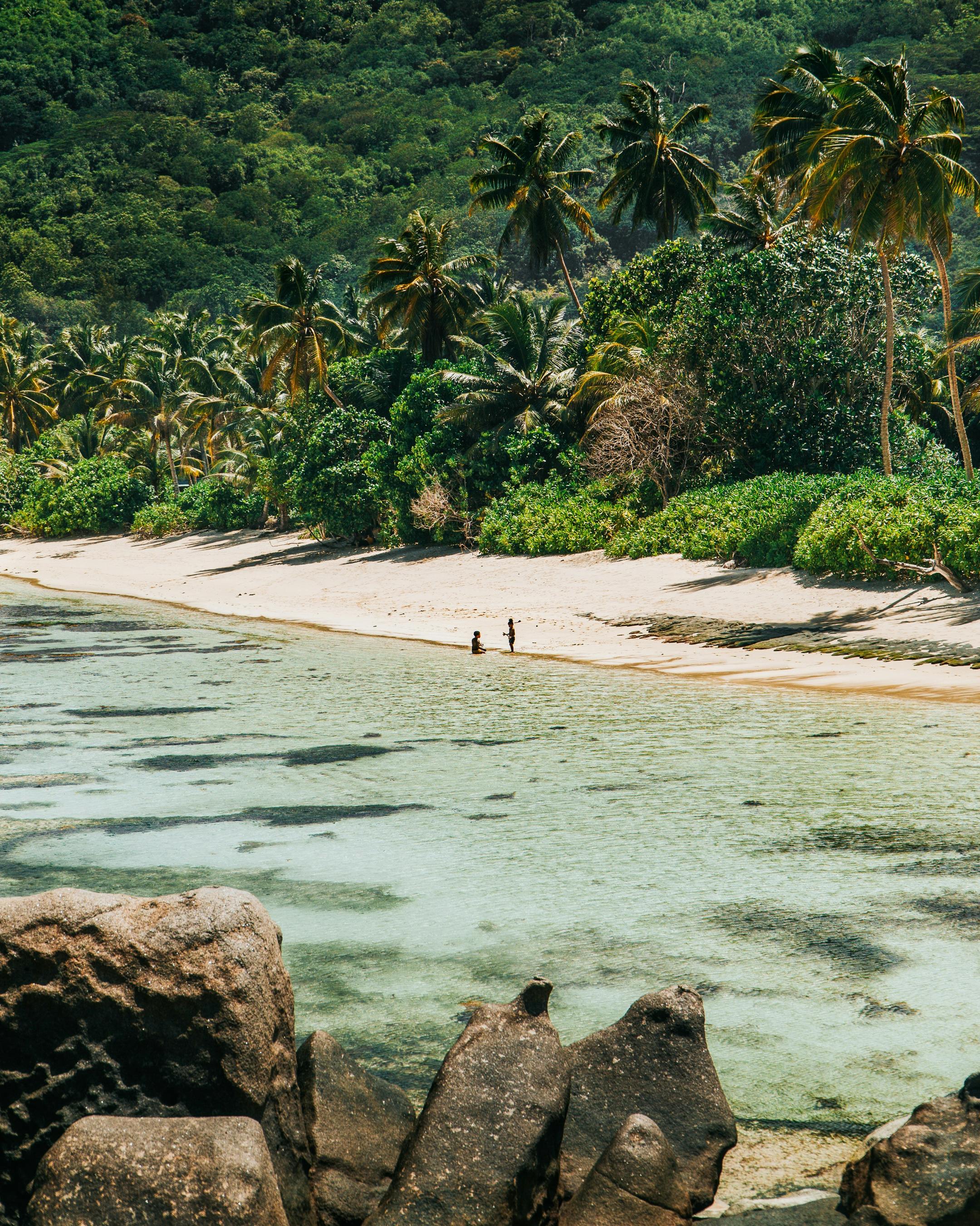 Lush tropical forest tumbles down green hillsides toward a calm sheltered bay in Seychelles.