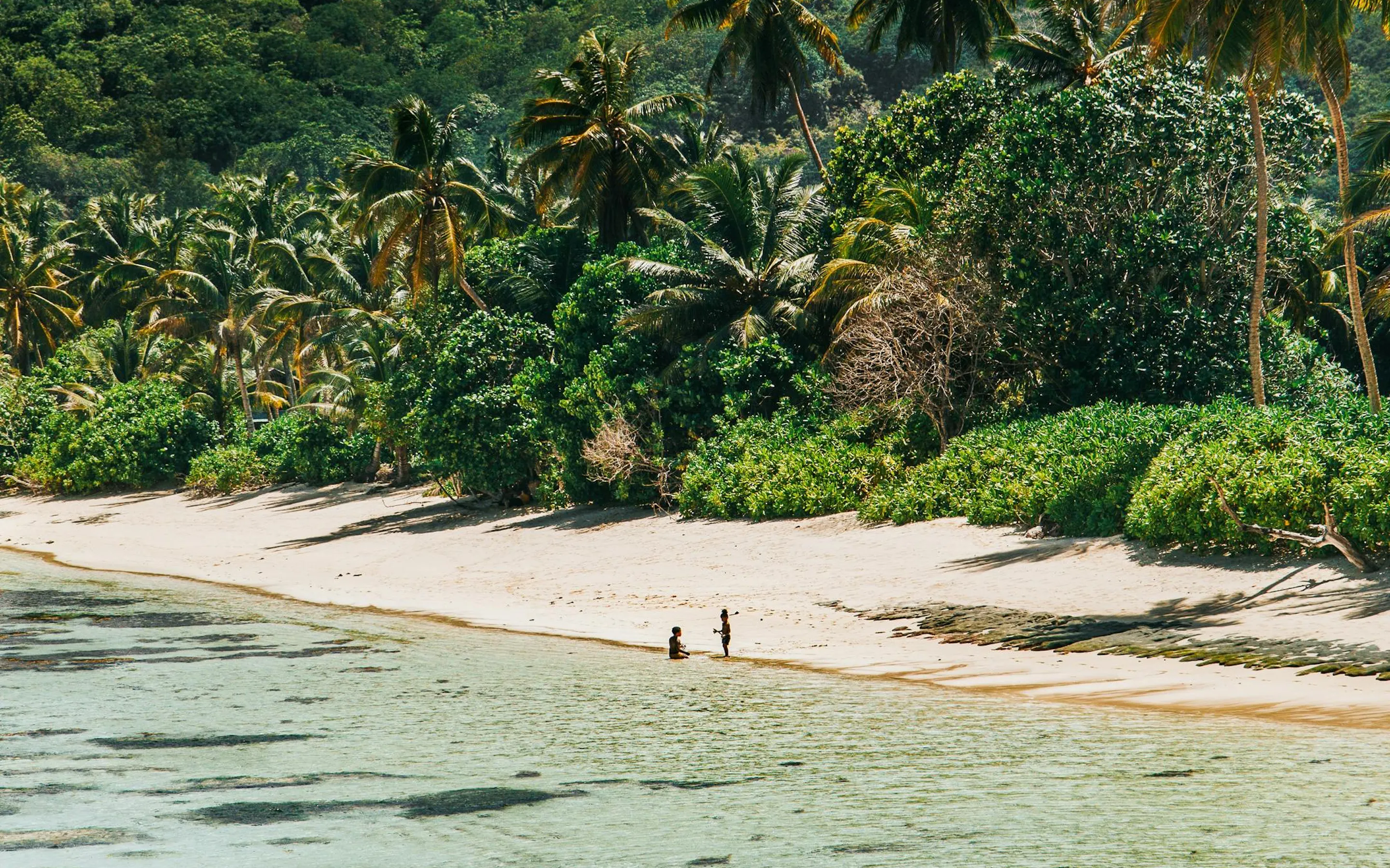 Lush tropical forest tumbles down green hillsides toward a calm sheltered bay in Seychelles.