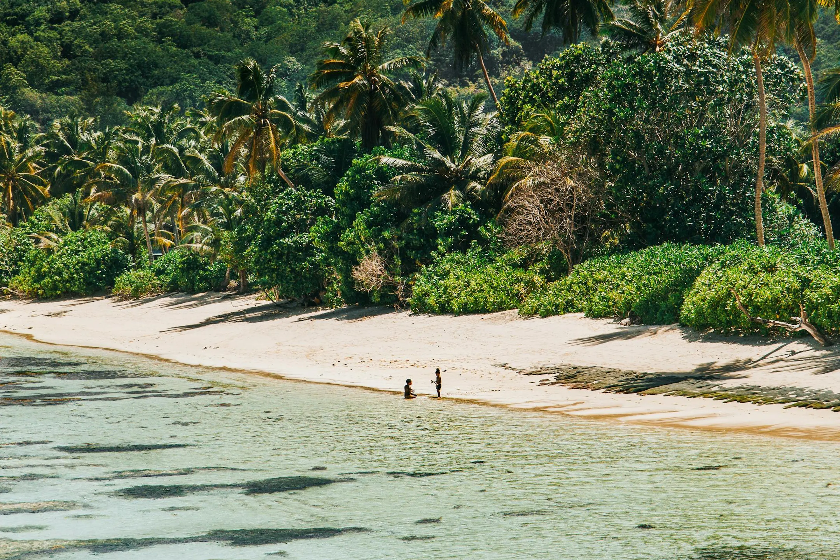 Lush tropical forest tumbles down green hillsides toward a calm sheltered bay in Seychelles.