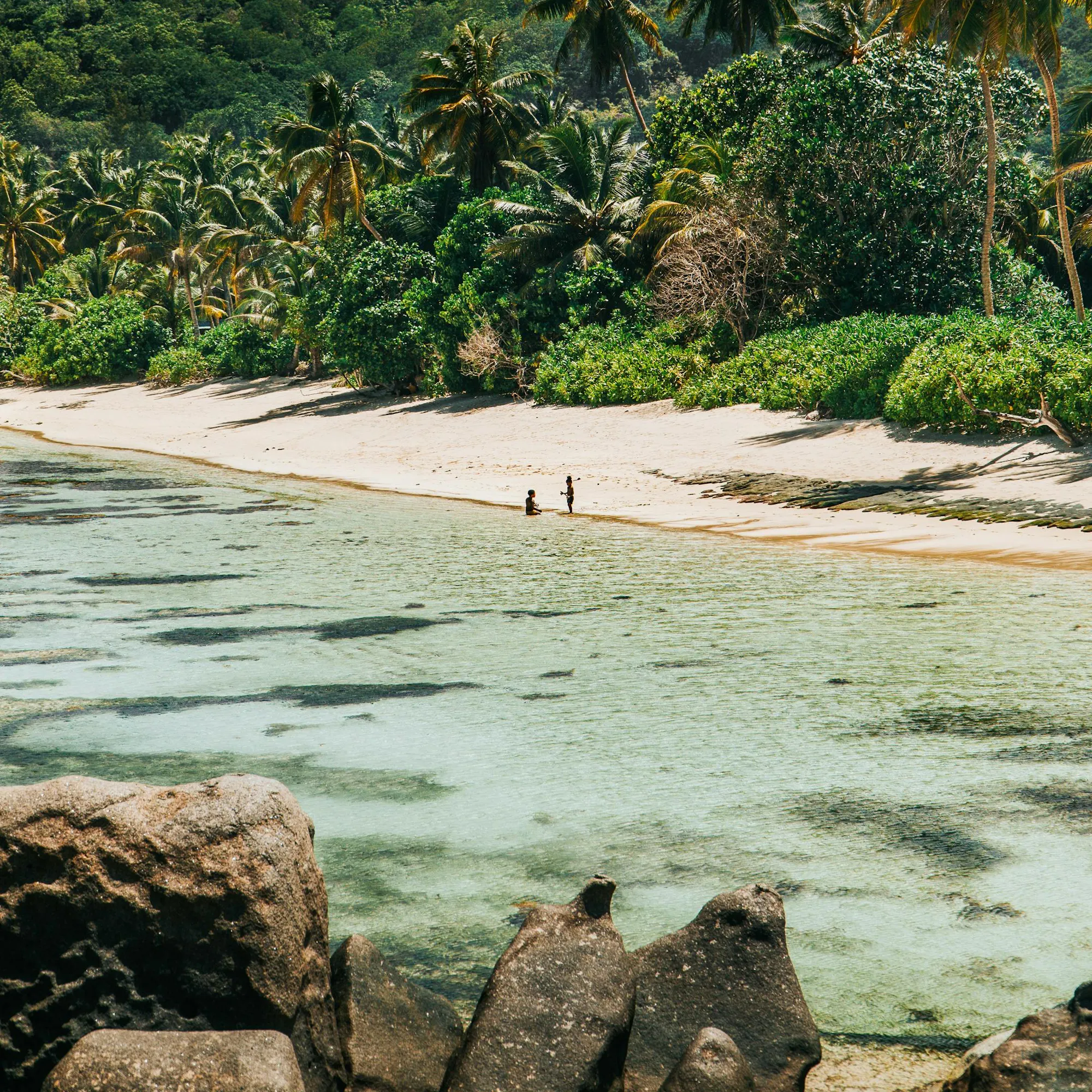 Lush tropical forest tumbles down green hillsides toward a calm sheltered bay in Seychelles.