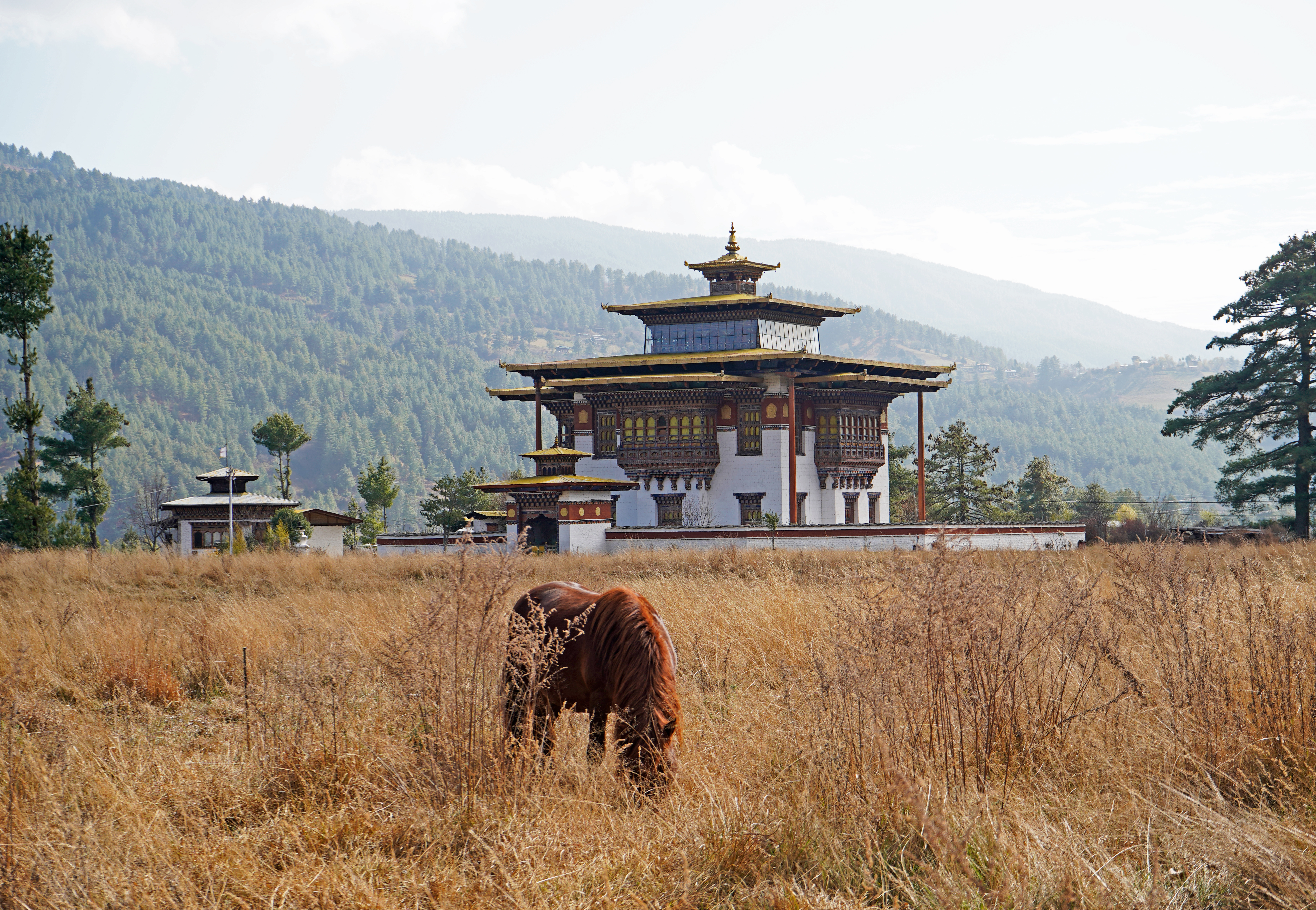 A stone chorten stands in an open valley with a grazing yak and pine-clad mountains beyond.