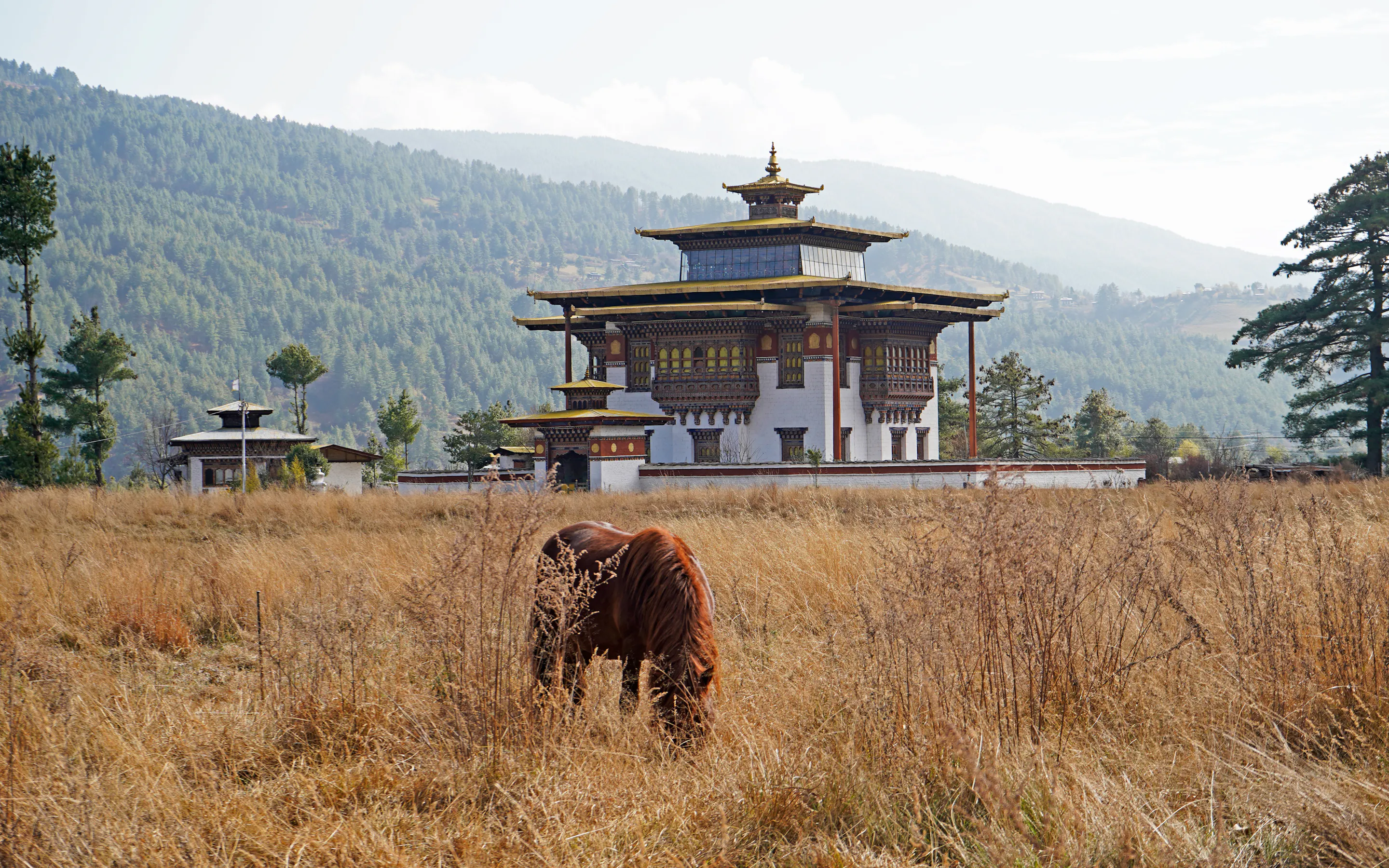 A stone chorten stands in an open valley with a grazing yak and pine-clad mountains beyond.