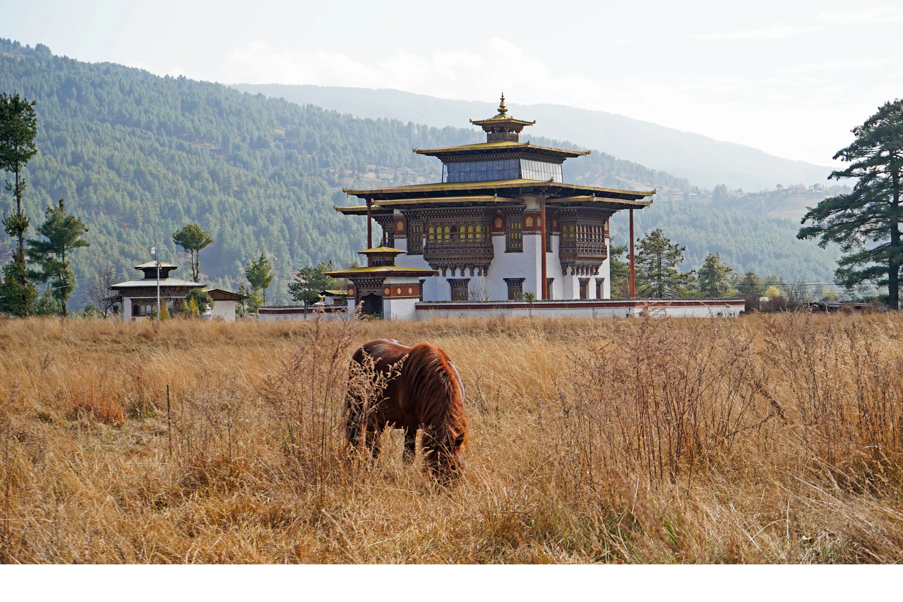 A stone chorten stands in an open valley with a grazing yak and pine-clad mountains beyond.