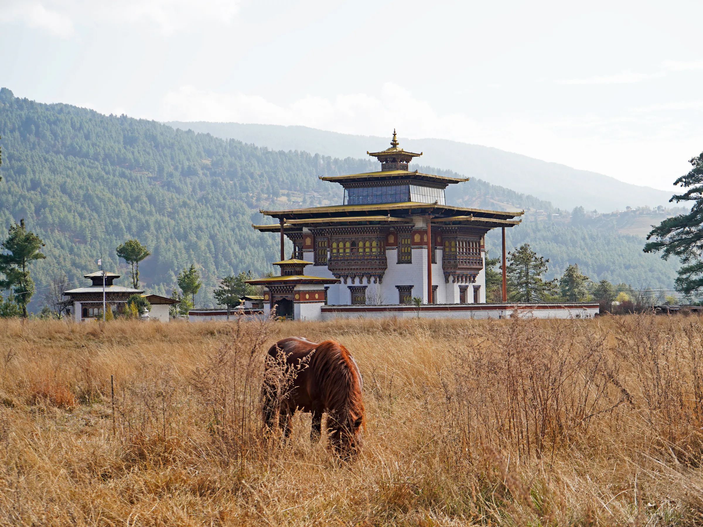 A stone chorten stands in an open valley with a grazing yak and pine-clad mountains beyond.