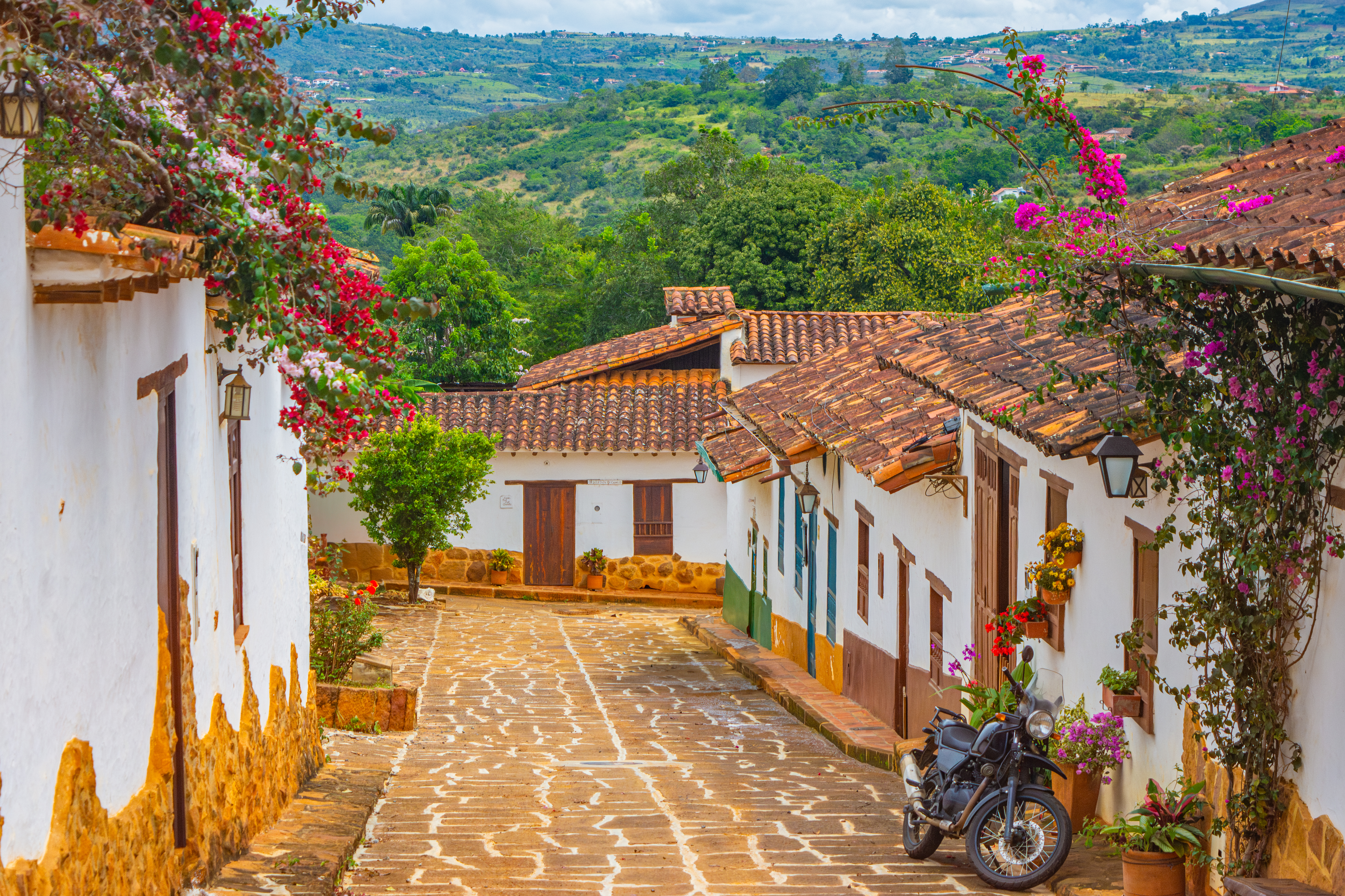 Flowers cascade over whitewashed walls along a cobblestone street in Barichara, Colombia.