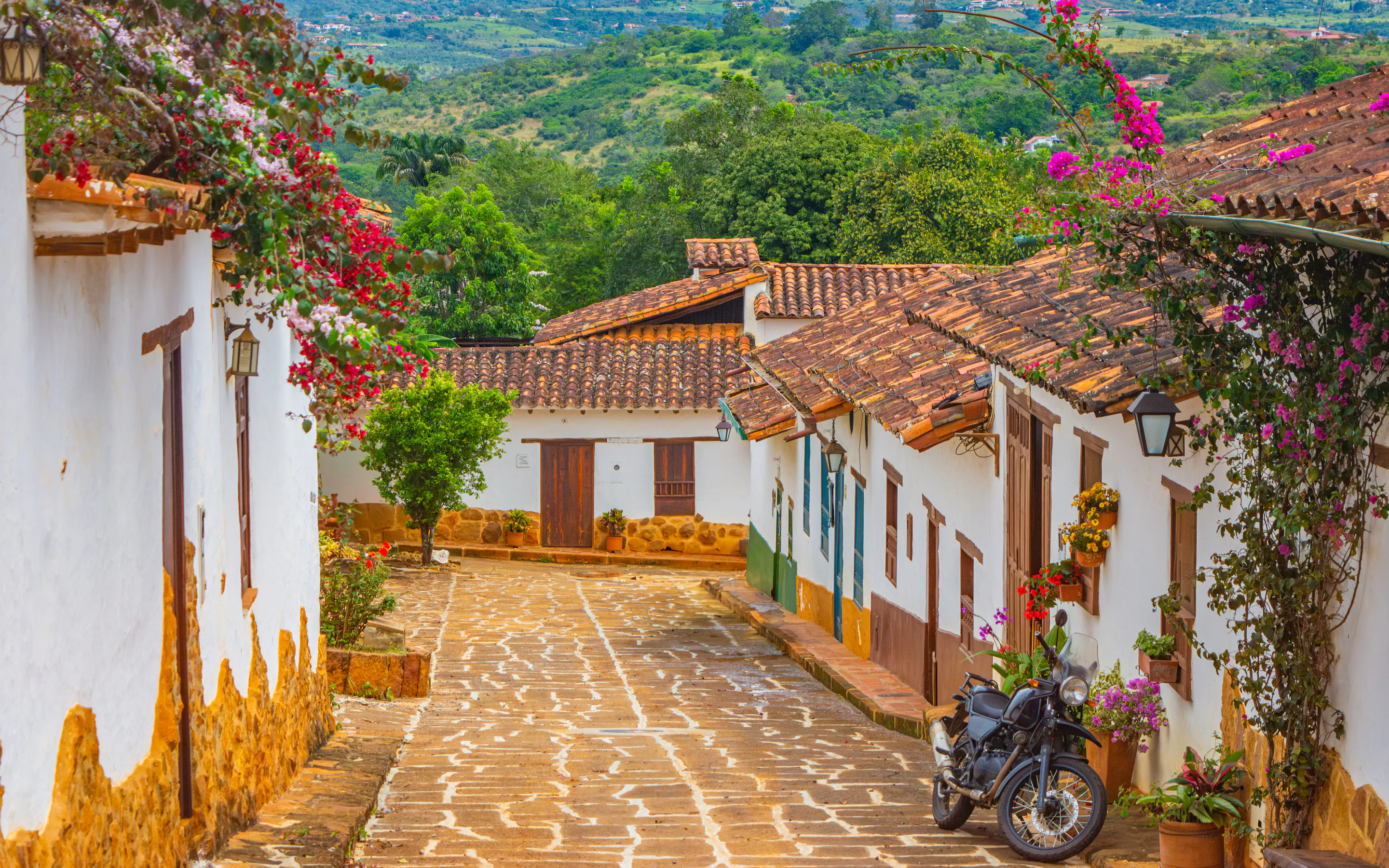 Flowers cascade over whitewashed walls along a cobblestone street in Barichara, Colombia.