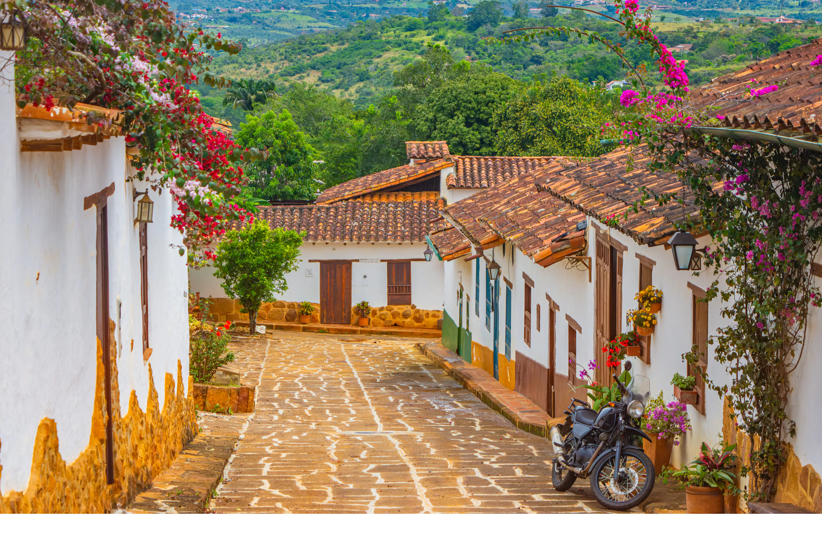 Flowers cascade over whitewashed walls along a cobblestone street in Barichara, Colombia.