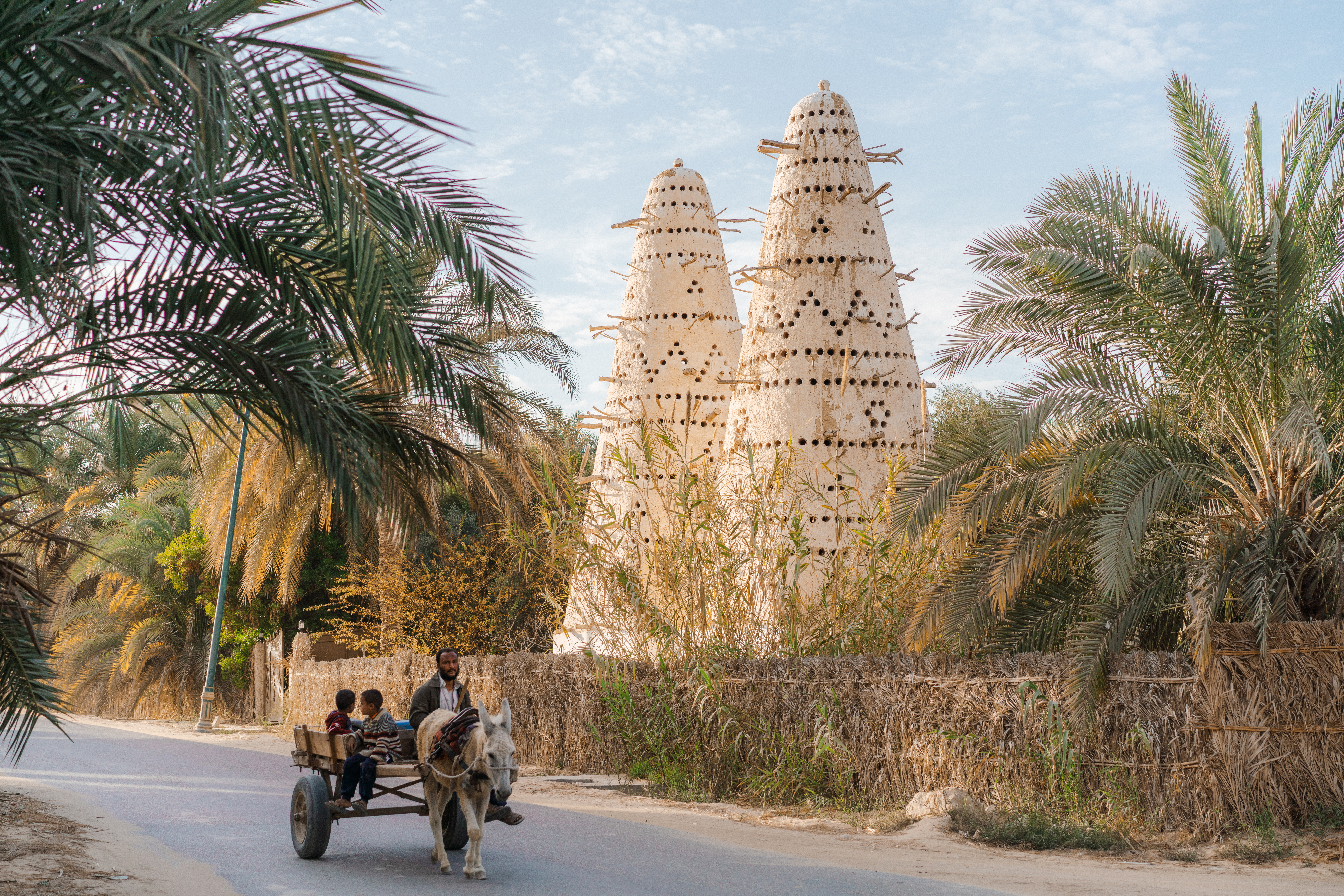A quad bike carries passengers along a desert track past palms and a clay watchtower in Siwa Oasis.