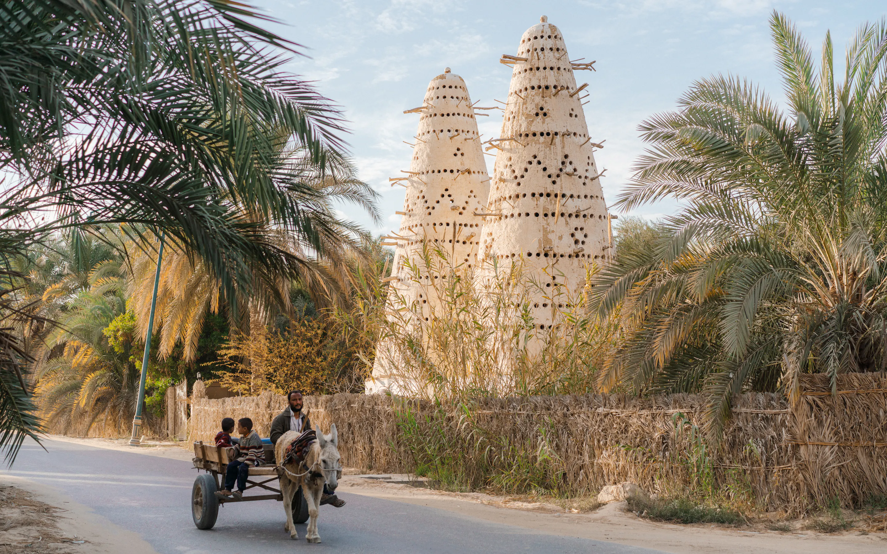 A quad bike carries passengers along a desert track past palms and a clay watchtower in Siwa Oasis.