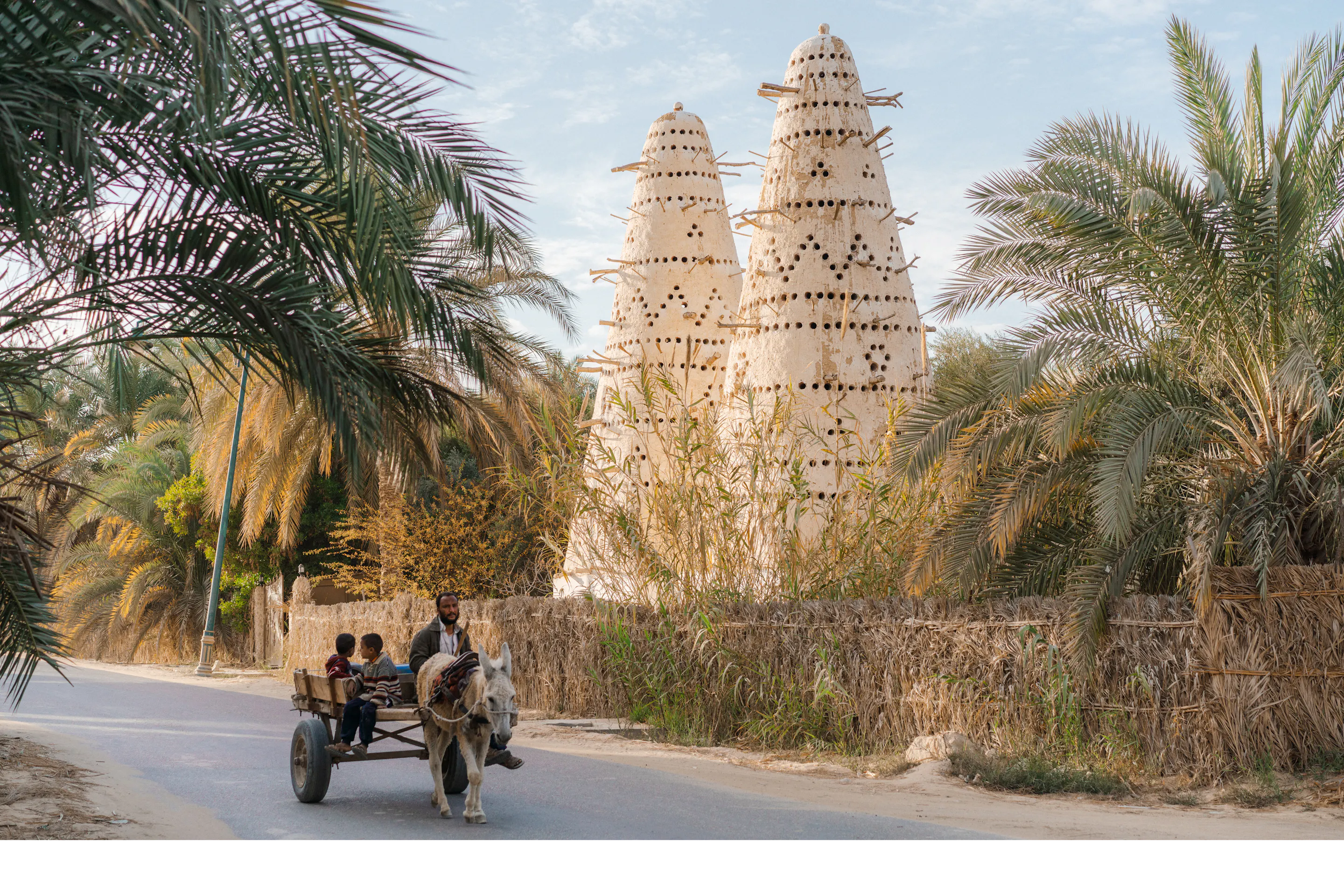 A quad bike carries passengers along a desert track past palms and a clay watchtower in Siwa Oasis.