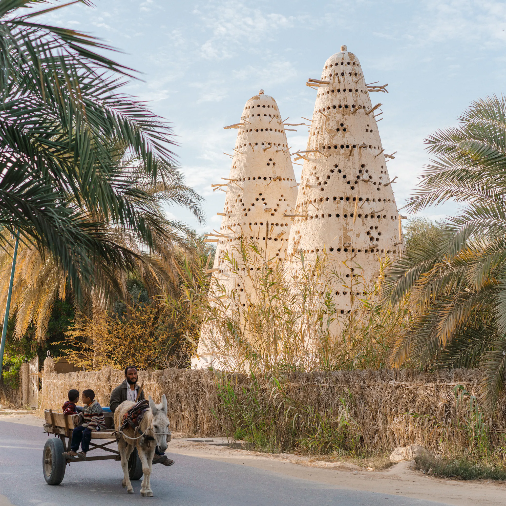 A quad bike carries passengers along a desert track past palms and a clay watchtower in Siwa Oasis.
